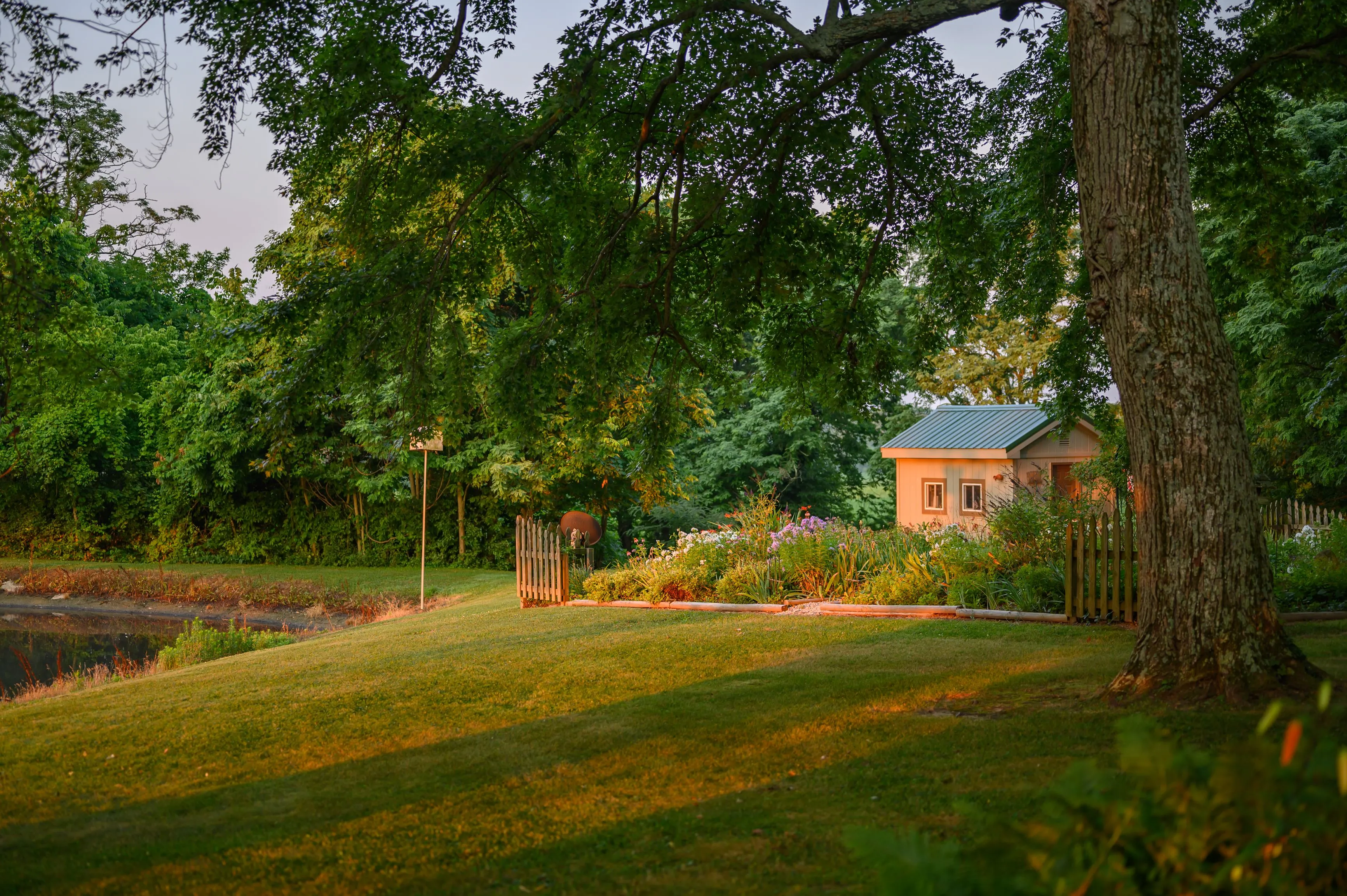 Idyllic garden scene with lush greenery, a blooming flowerbed, a wooden bench, and a small garden shed during golden hour sunlight.