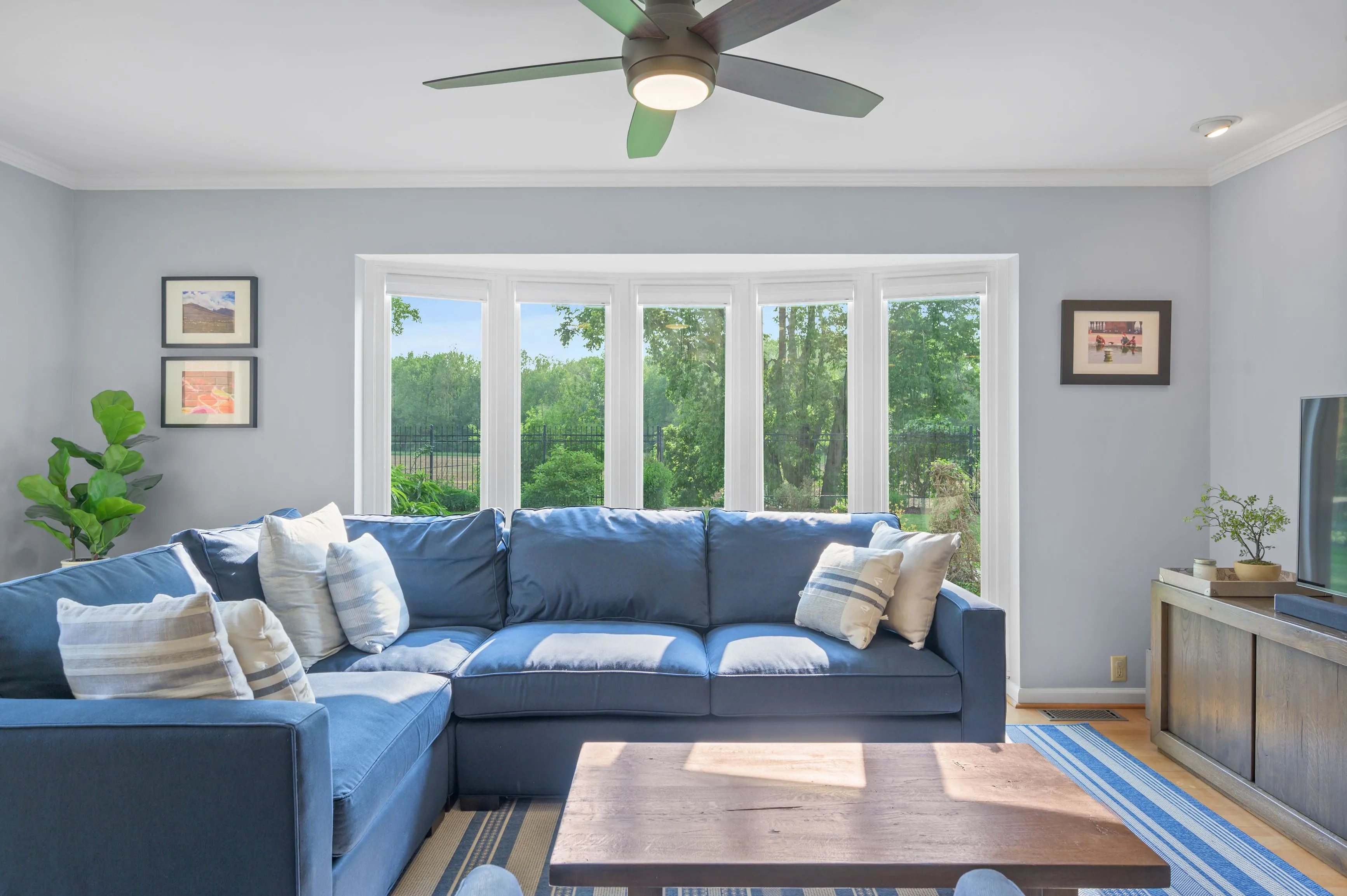 Bright living room with a blue sectional sofa, wooden coffee table, large windows, and a ceiling fan.