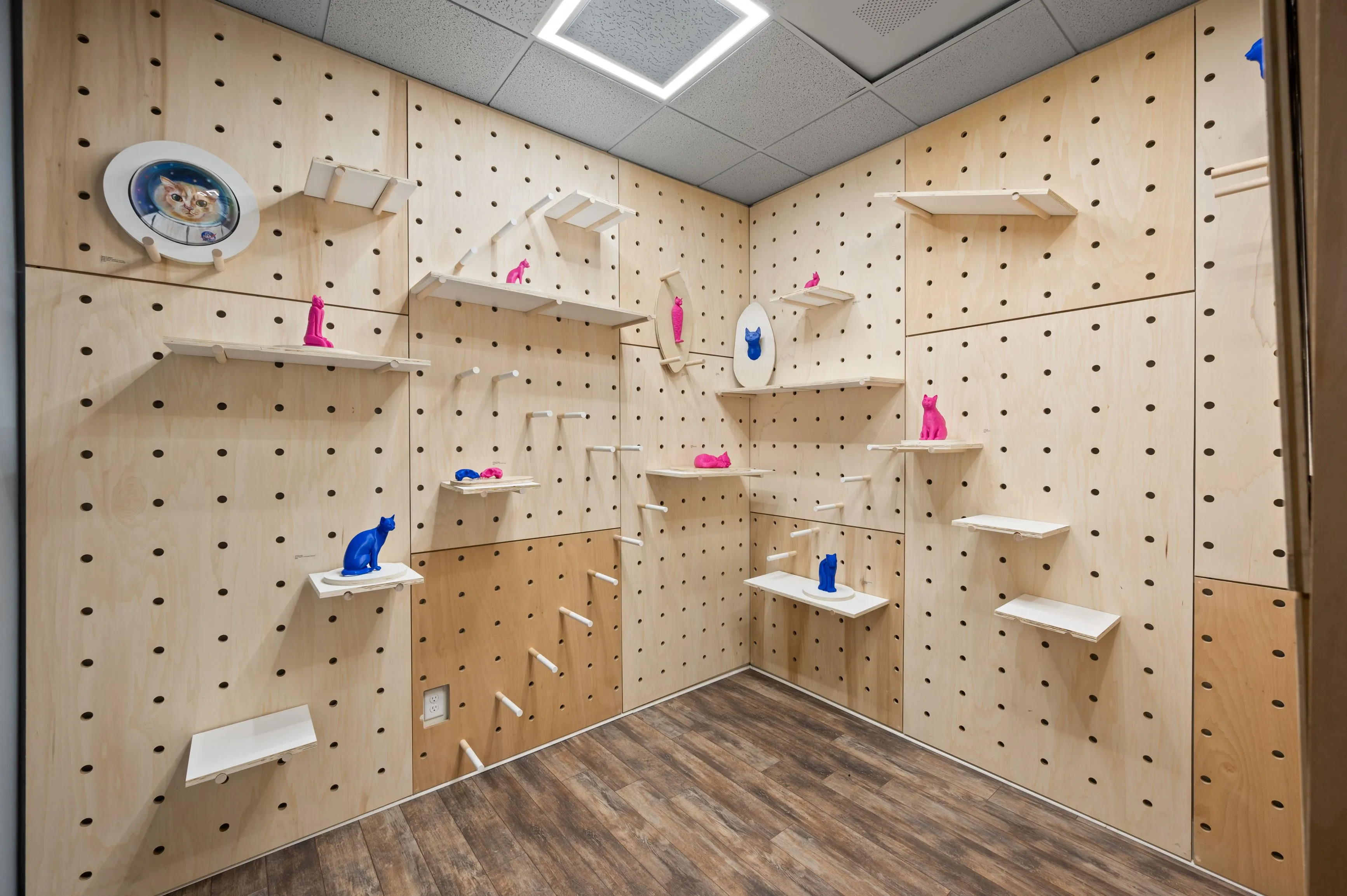 A cat-friendly room with multiple wooden shelves and climbing aids attached to pegboard walls, designed for cat play and exploration.