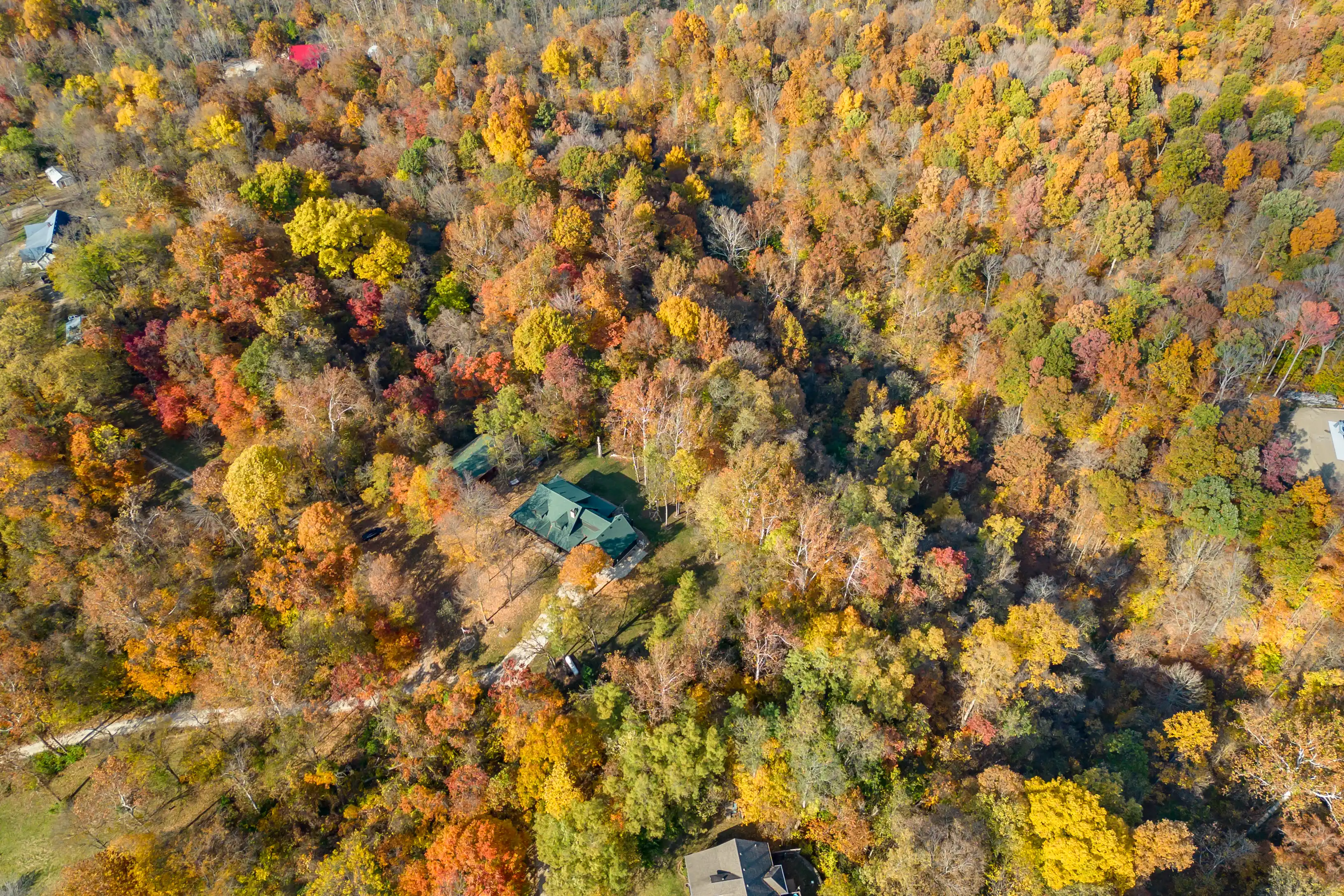 Aerial view of a forested area with trees displaying autumn foliage and houses partially hidden by the canopy.
