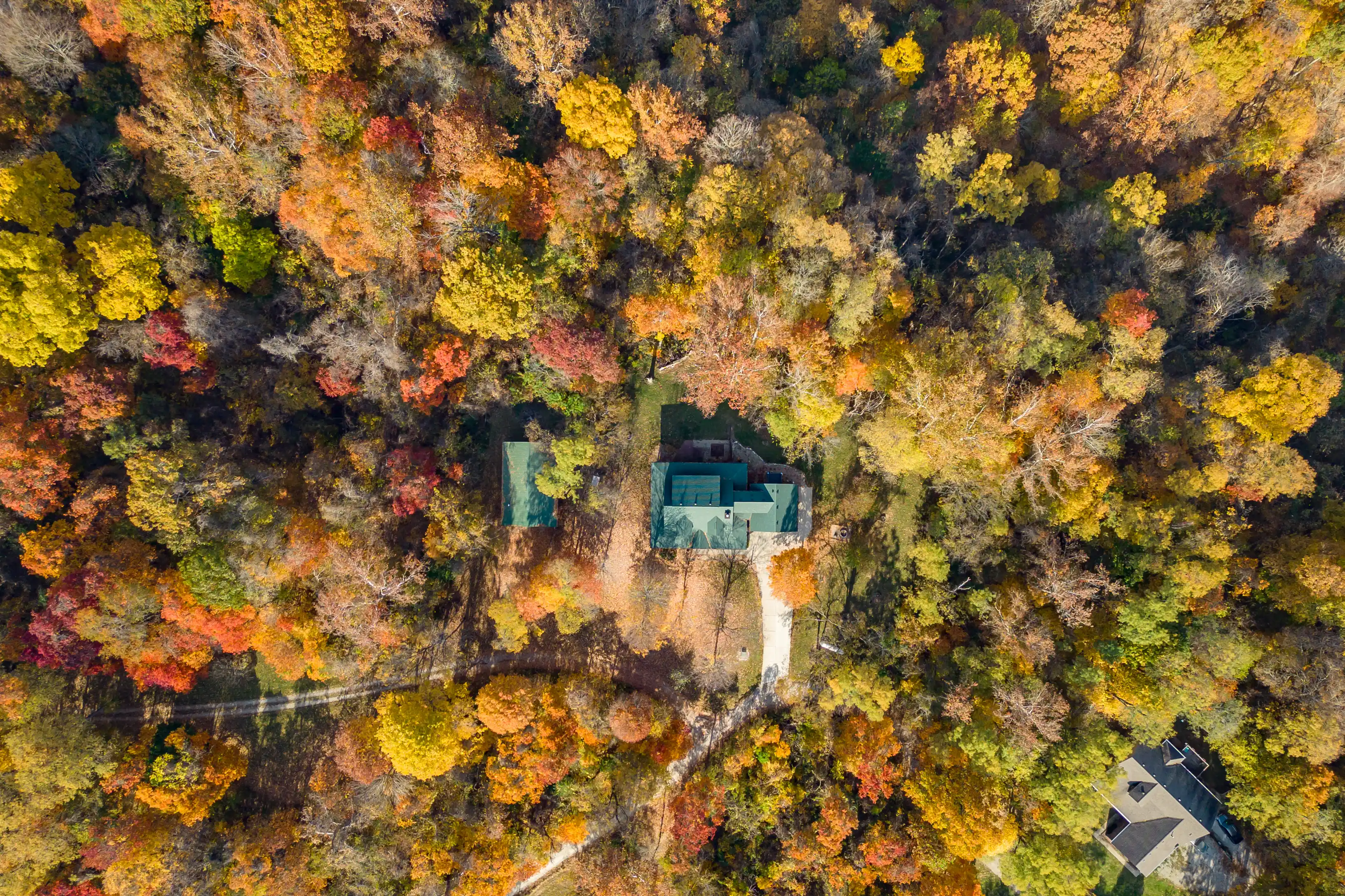 Aerial view of a lush forest in autumn with colorful foliage and a few houses nestled among the trees.
