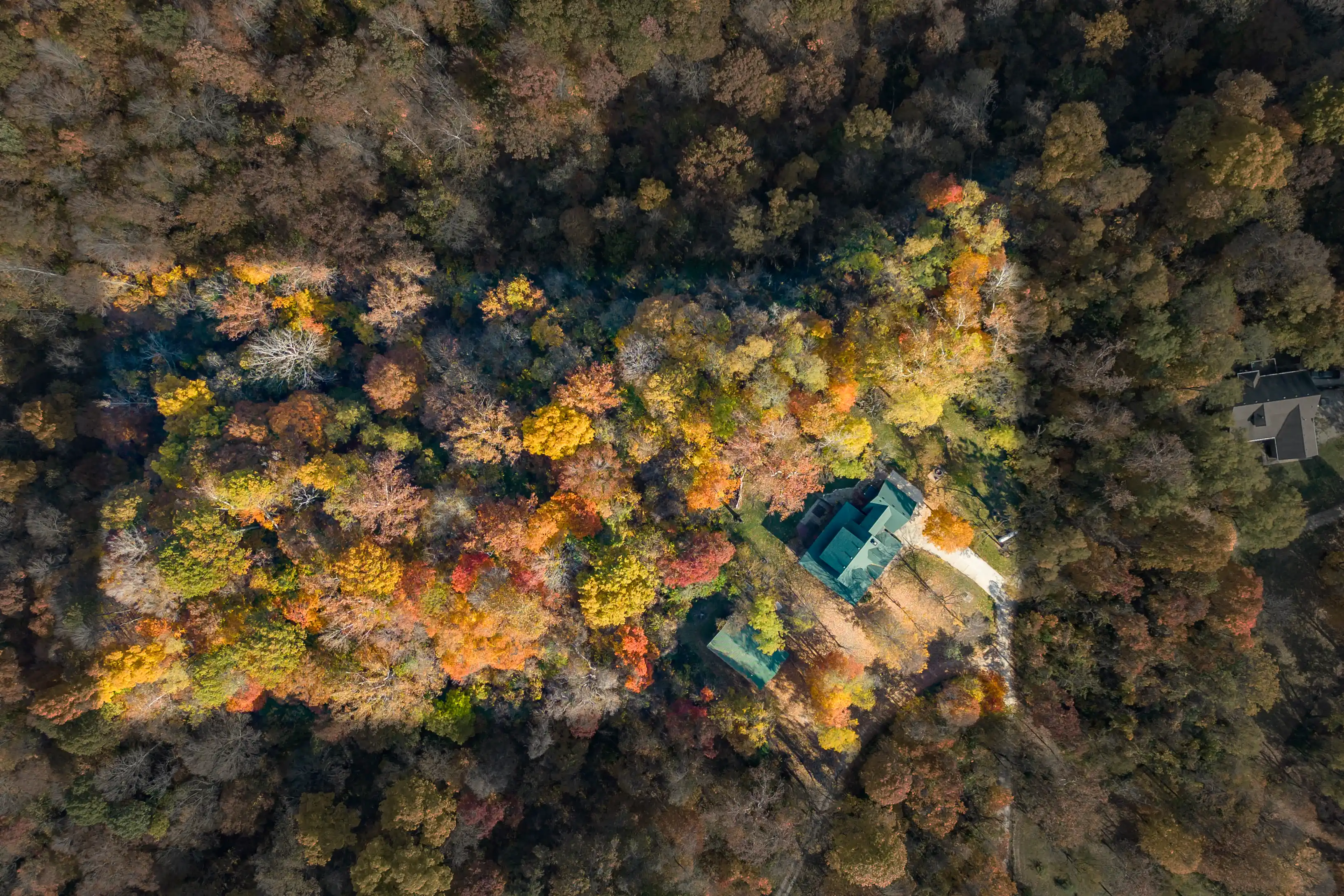 Aerial view of a lush forest in autumn with colorful foliage and two houses nestled among the trees.