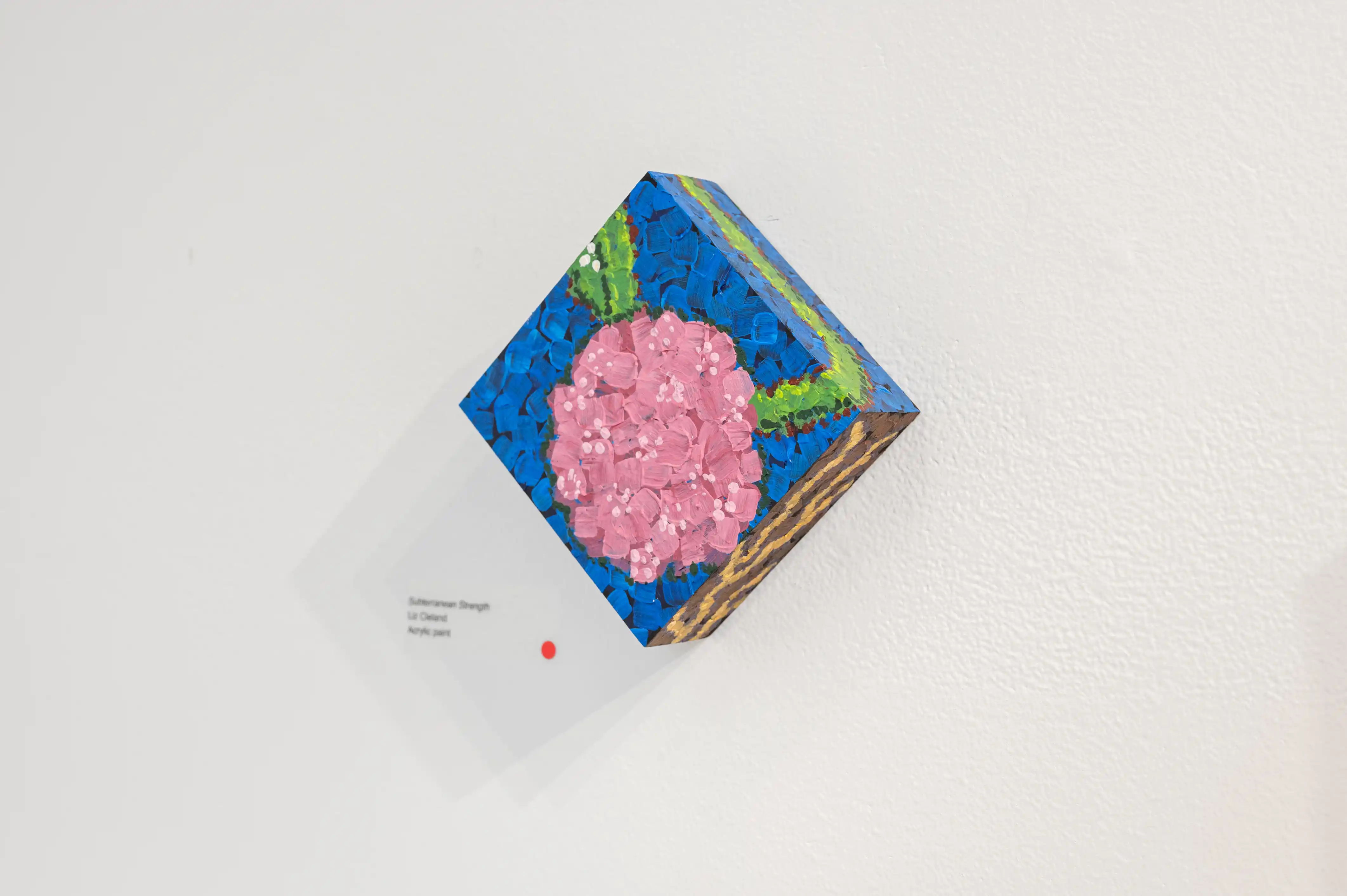 Painted cube with pink flowers on display in a white gallery space.