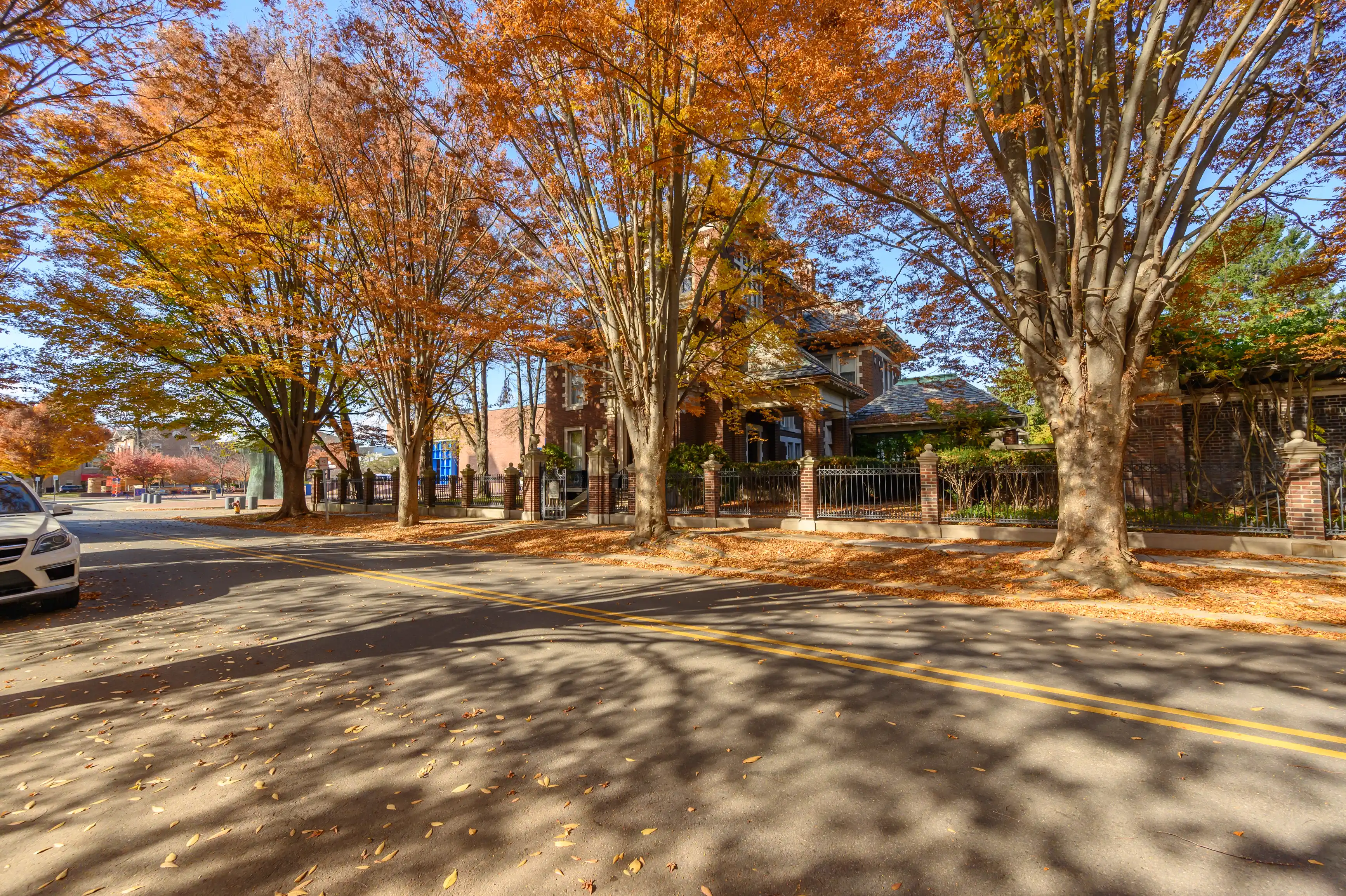 Tree-lined street with autumn foliage, cast shadows on road, residential area with parked car and iron fence around properties.