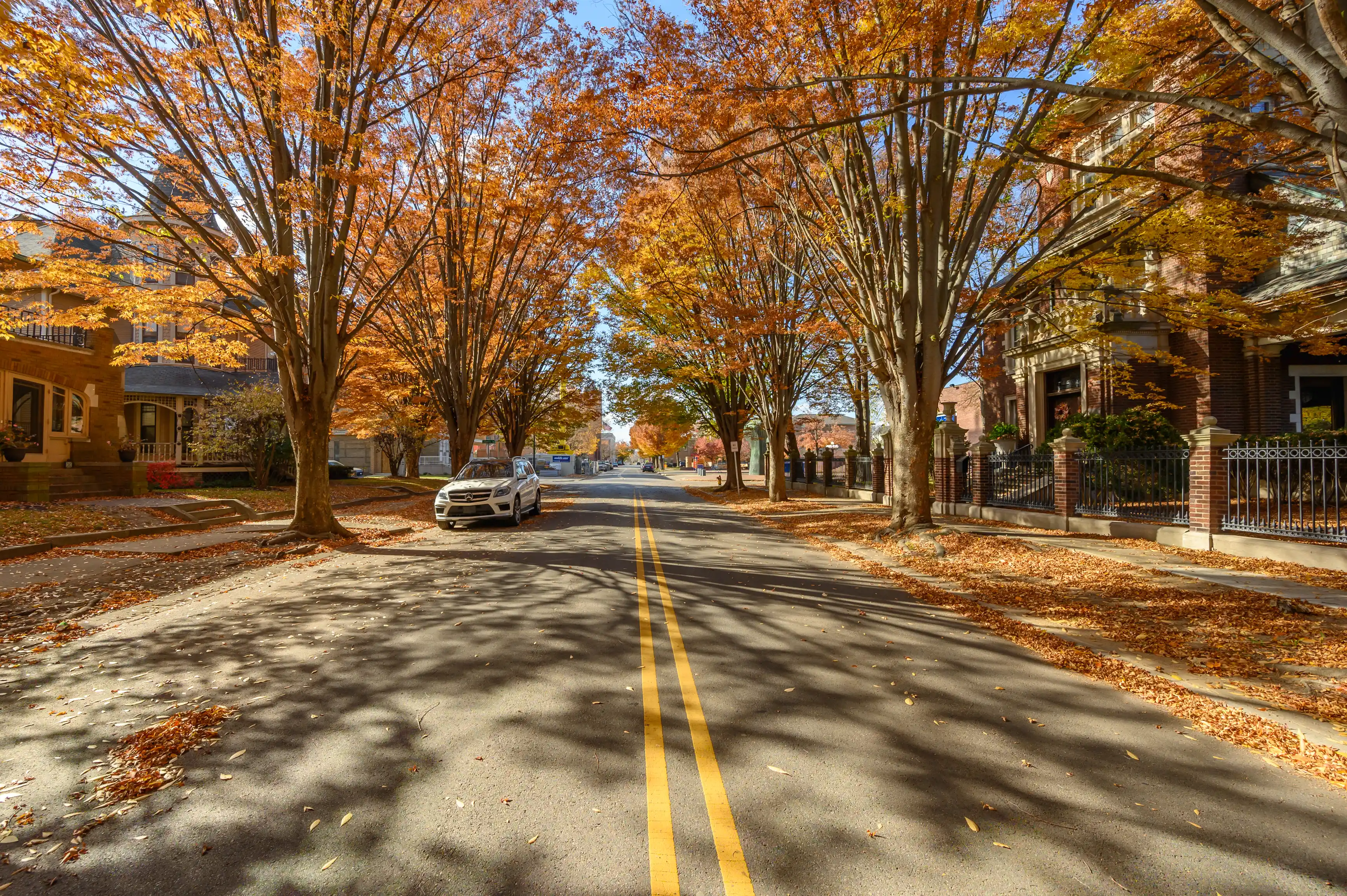 A serene autumn street lined with trees in full fall foliage, casting shadows on the road, with parked cars and traditional houses on either side.