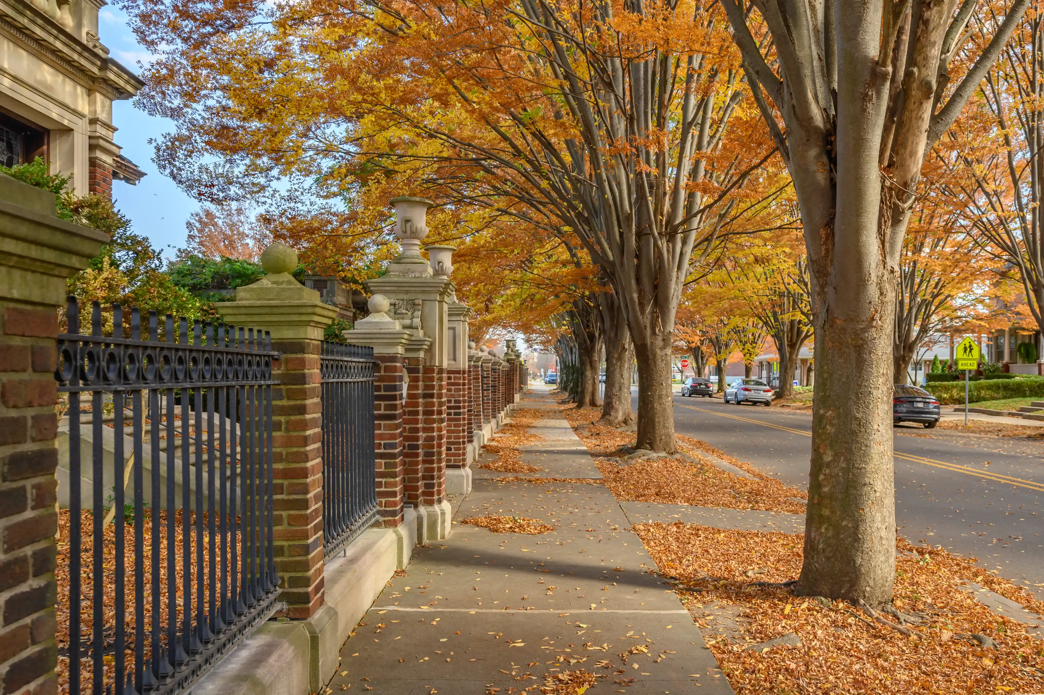 Alt: A tree-lined sidewalk in autumn with fallen leaves, an ornate metal and brick fence on one side, leading towards a vanishing point with a clear blue sky above.