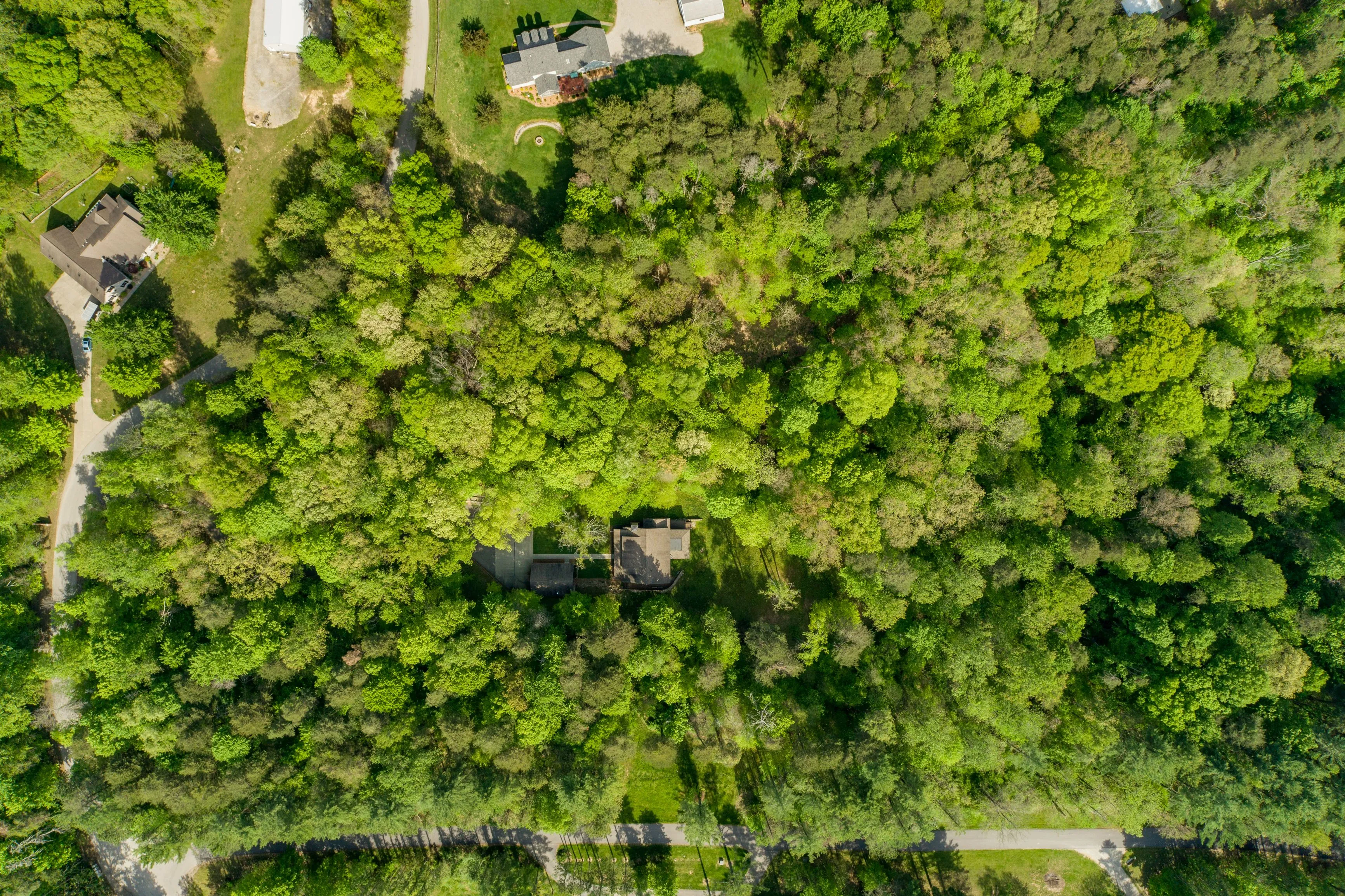 Aerial view of a lush green forest with a few houses partially hidden by the tree canopy, intersected by walking paths.