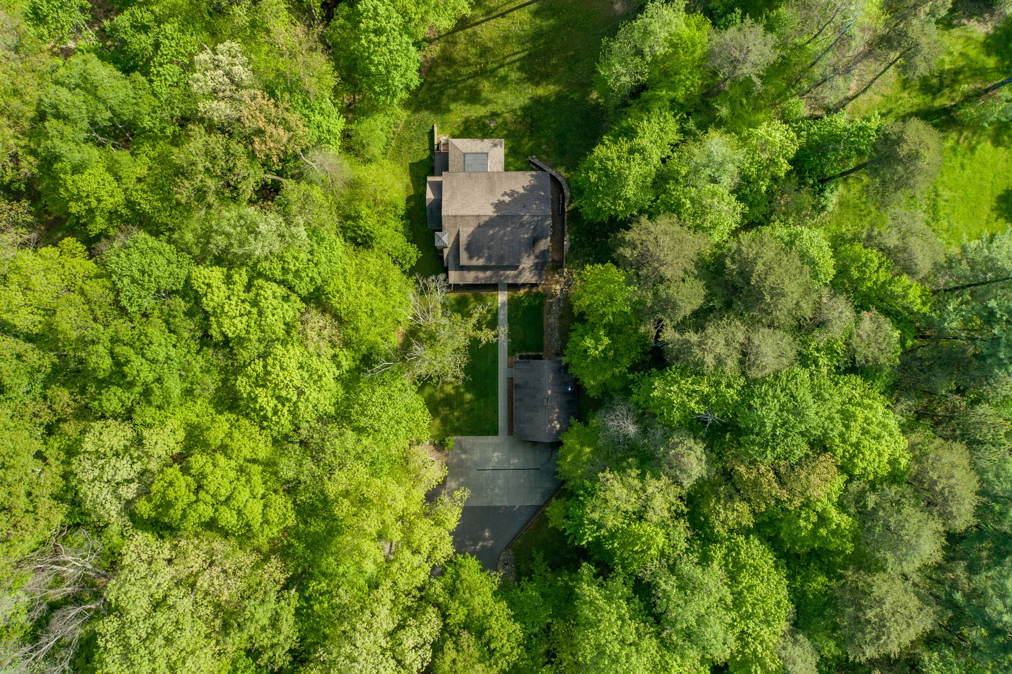 Aerial view of a house surrounded by dense green trees with a clear path leading up to the house.
