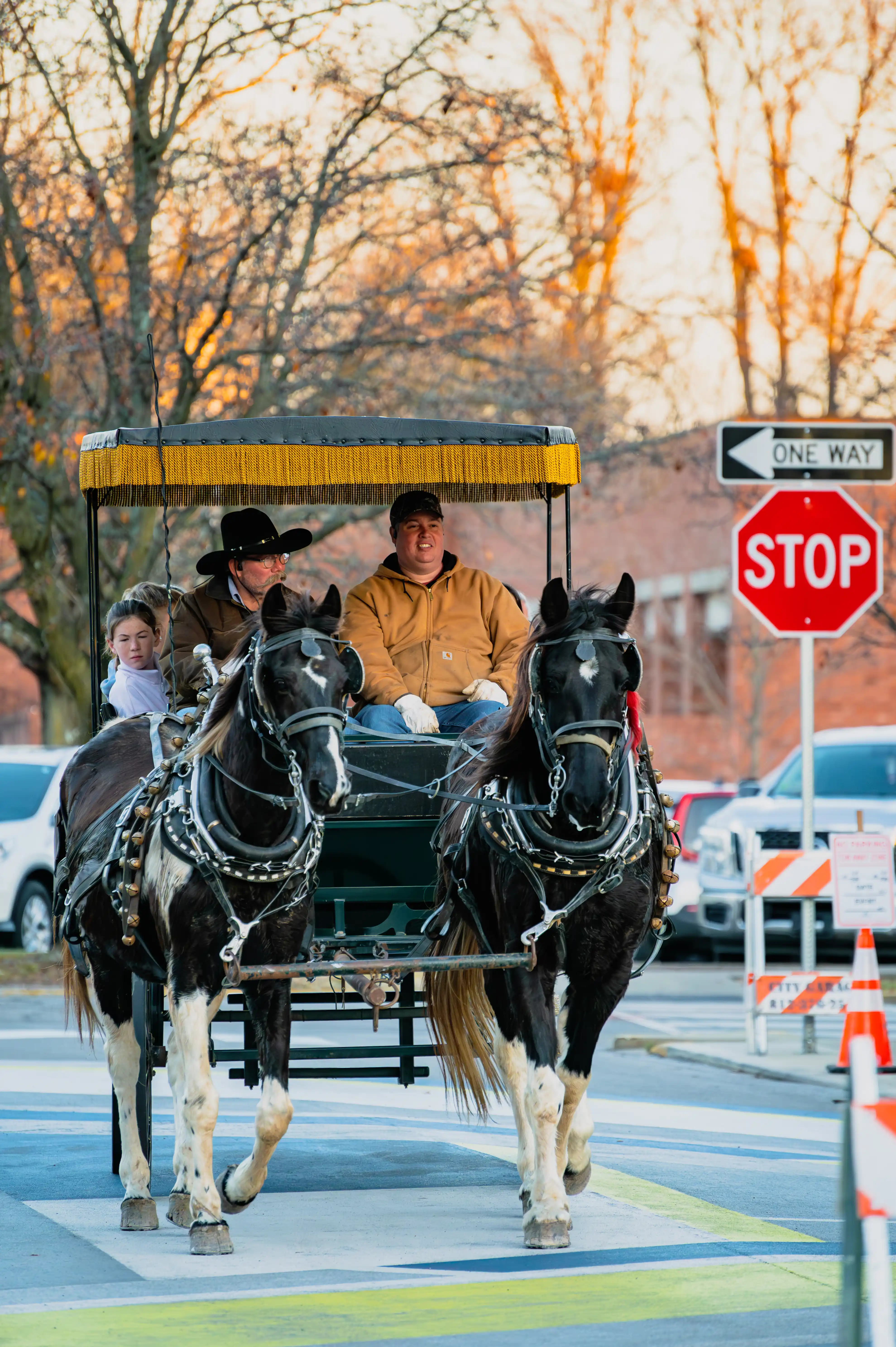 Horse-drawn carriage on city street with passengers and driver stopping at a STOP sign.