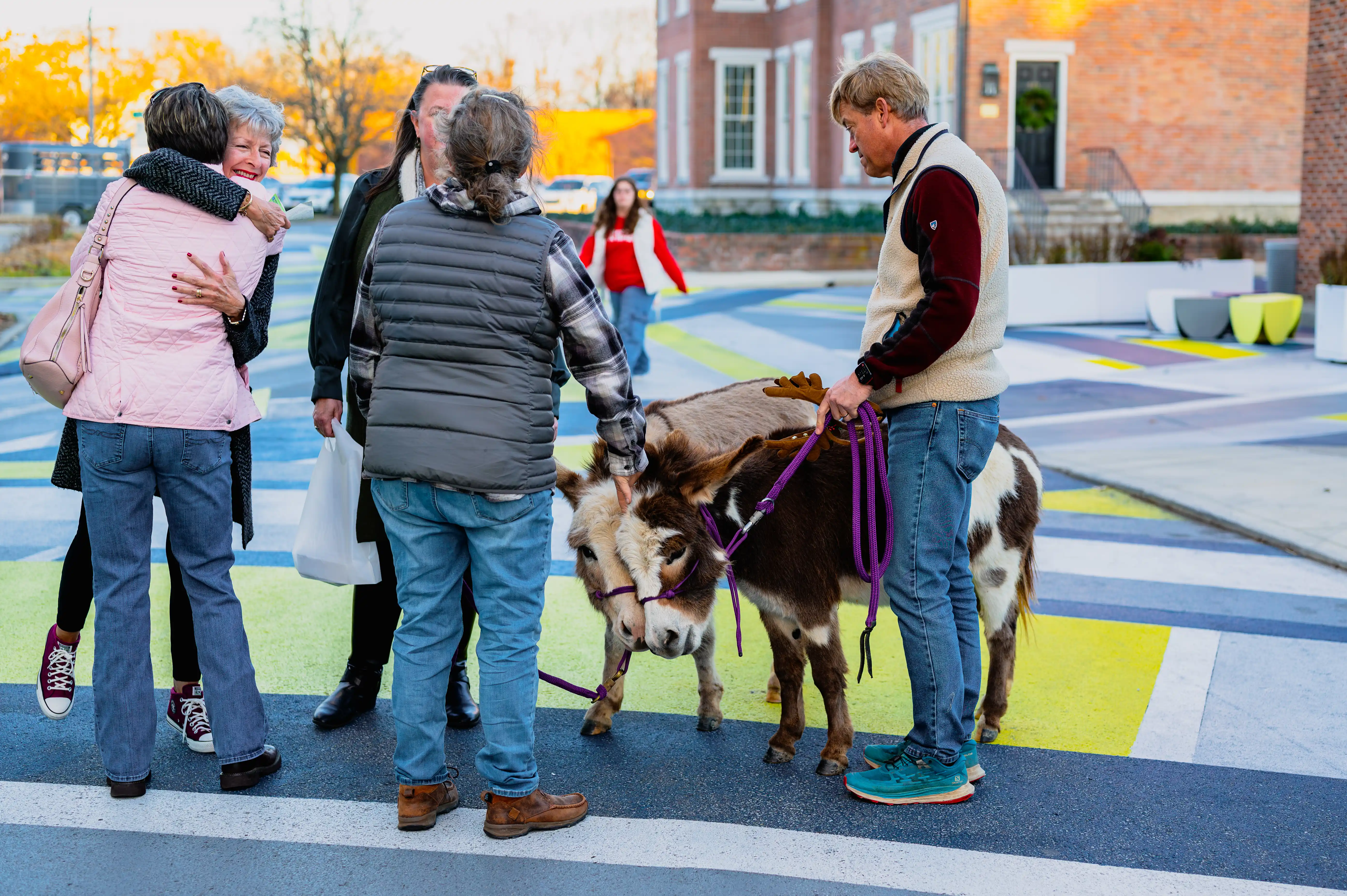 Group of people engaging with each other and a cow on a colorful urban crosswalk.
