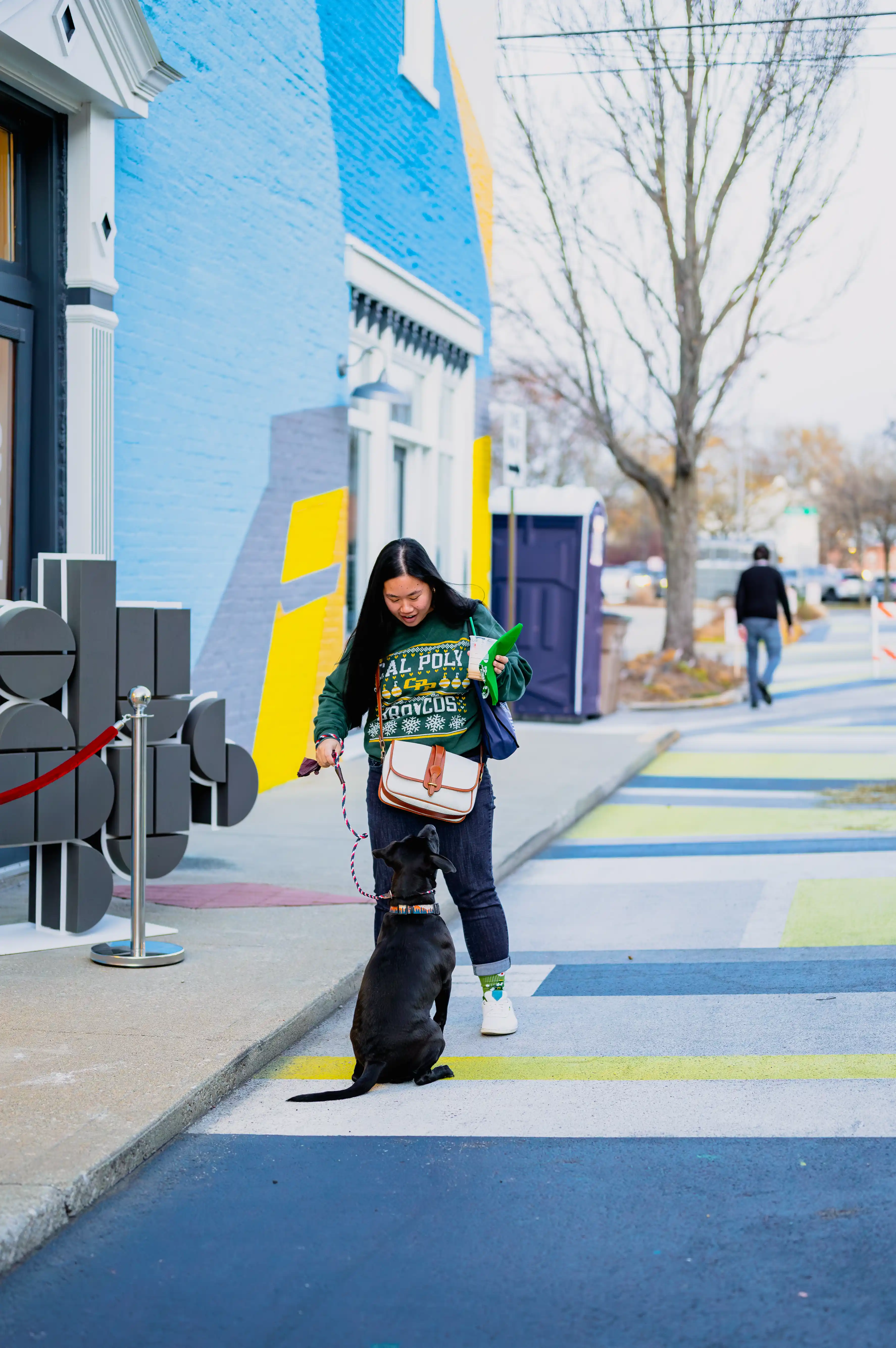 A person walking a black dog on a colorful crosswalk in an urban setting with a blue building in the background.