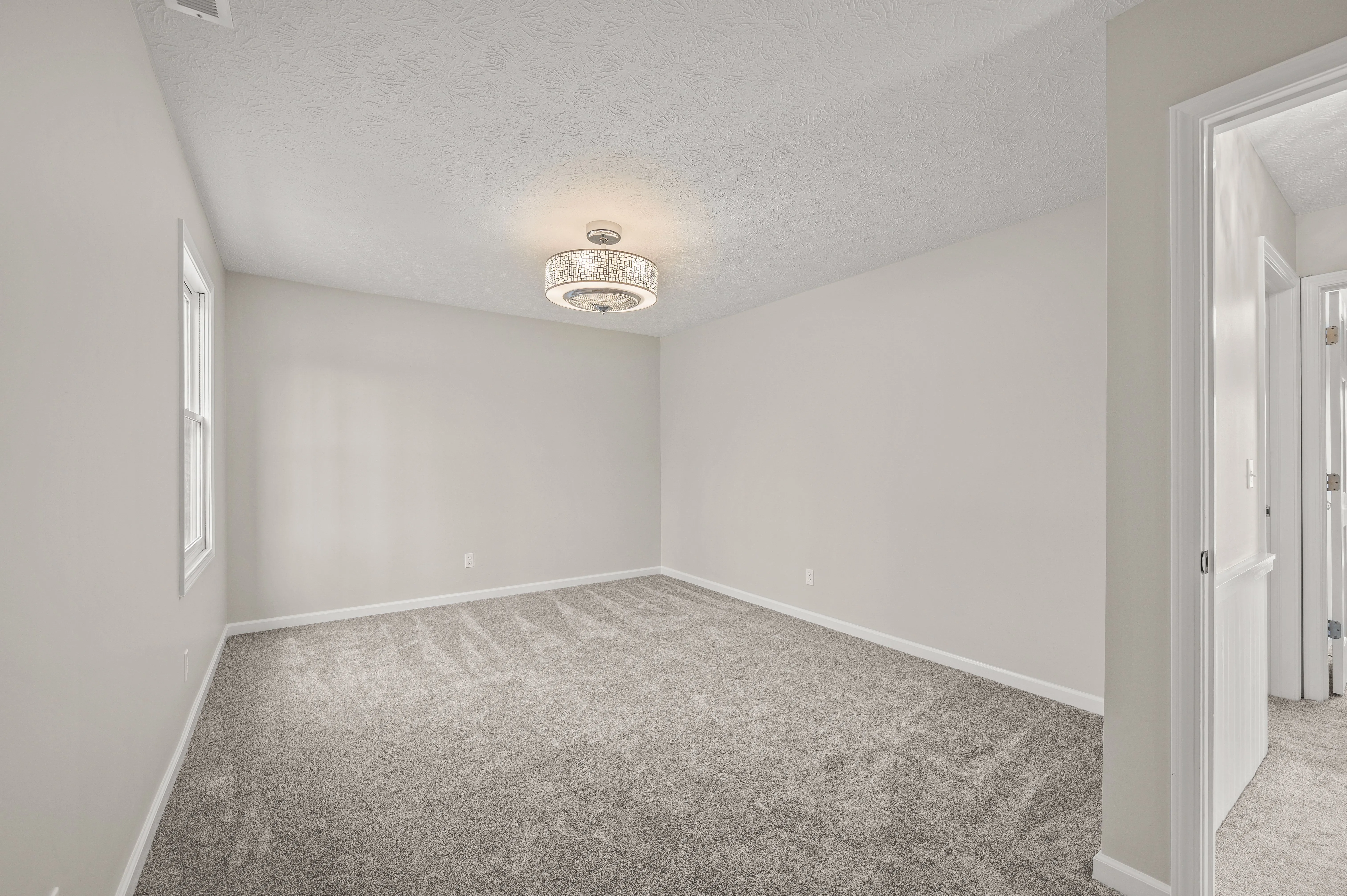 Empty room with light gray walls, carpeted floor, and a ceiling light fixture.