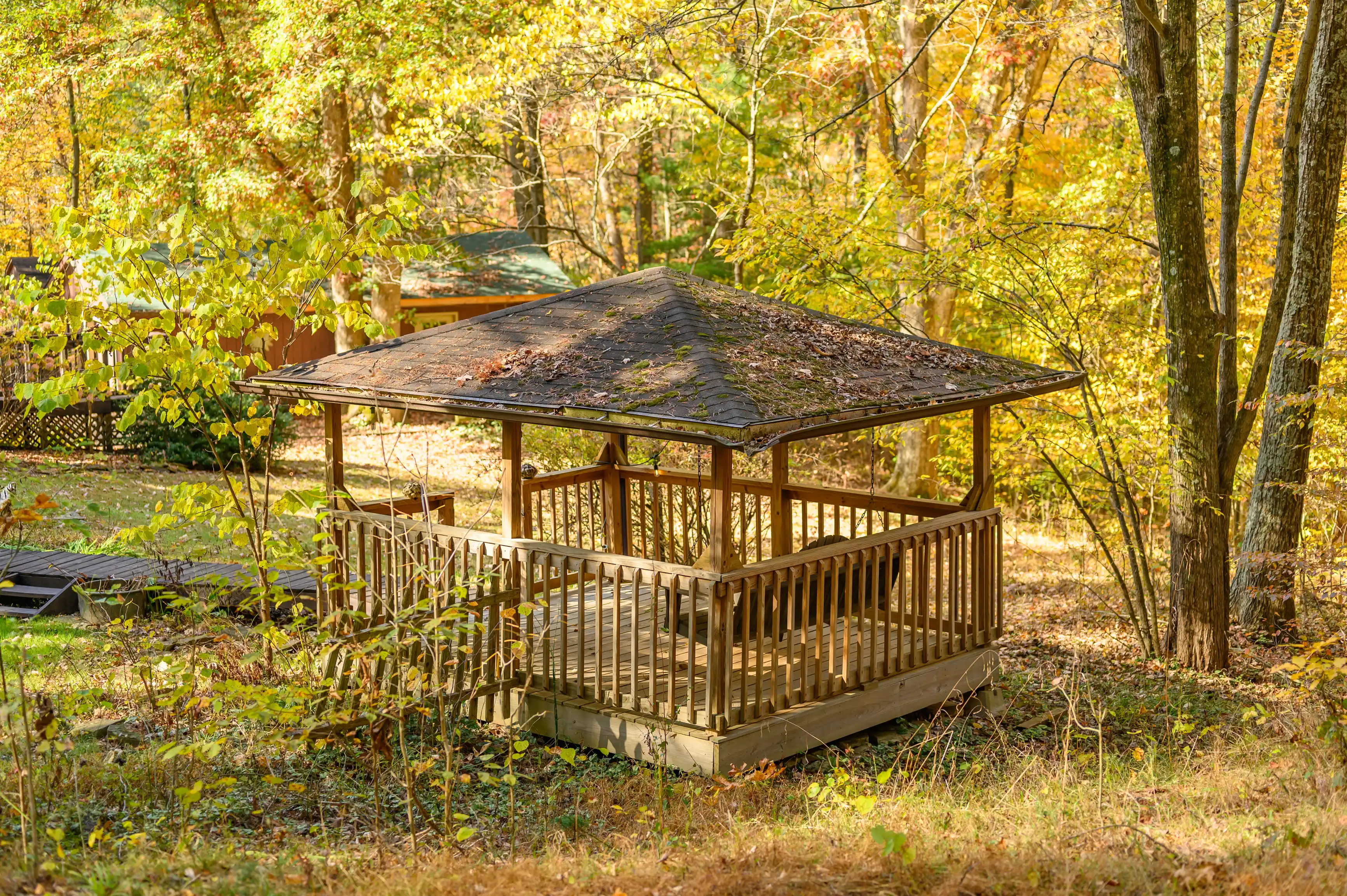 Wooden gazebo surrounded by autumnal trees in a forest setting.