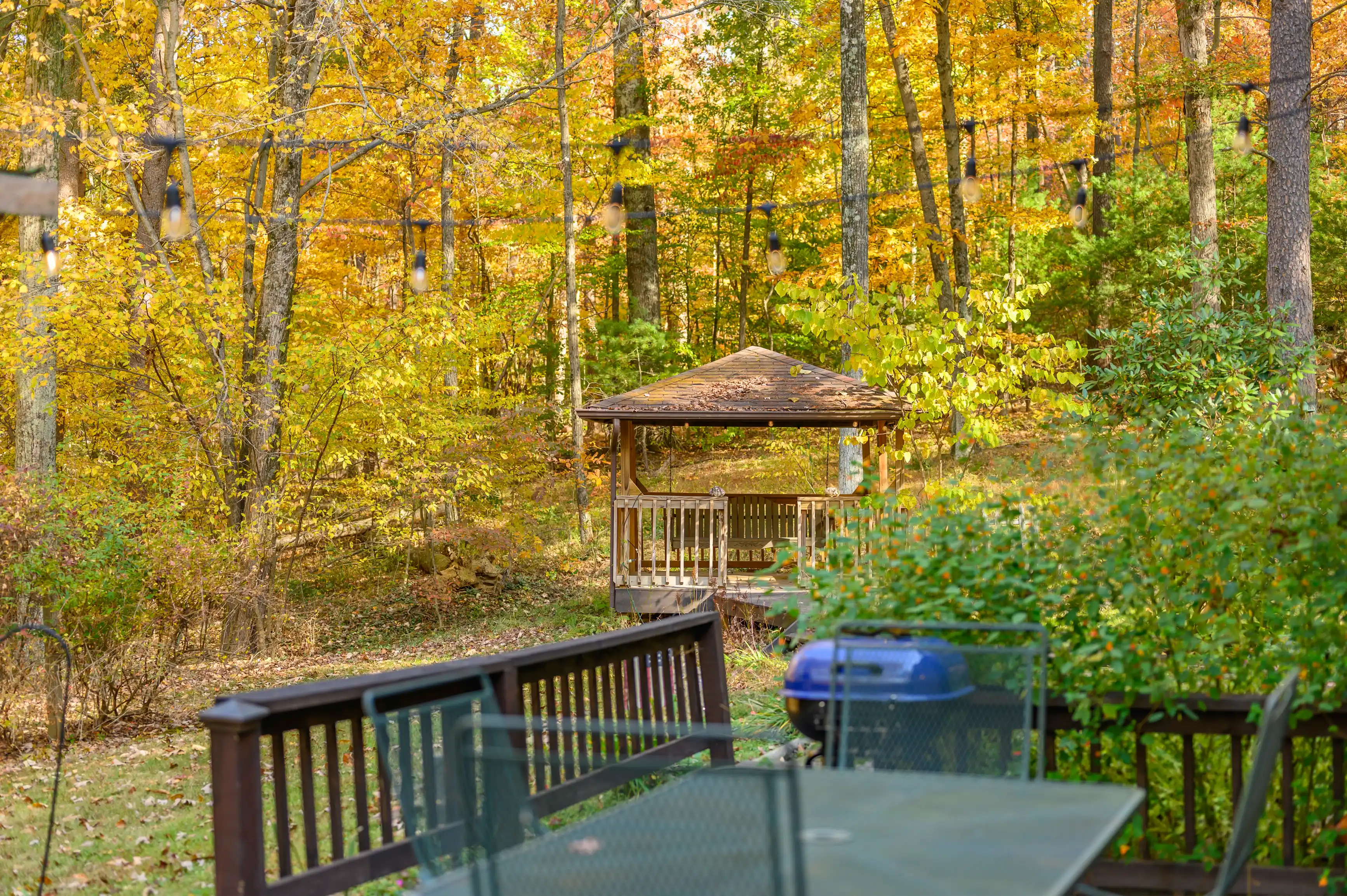 Autumn backyard with a wooden gazebo surrounded by trees with yellow and green leaves, viewed from a deck with a glass table.
