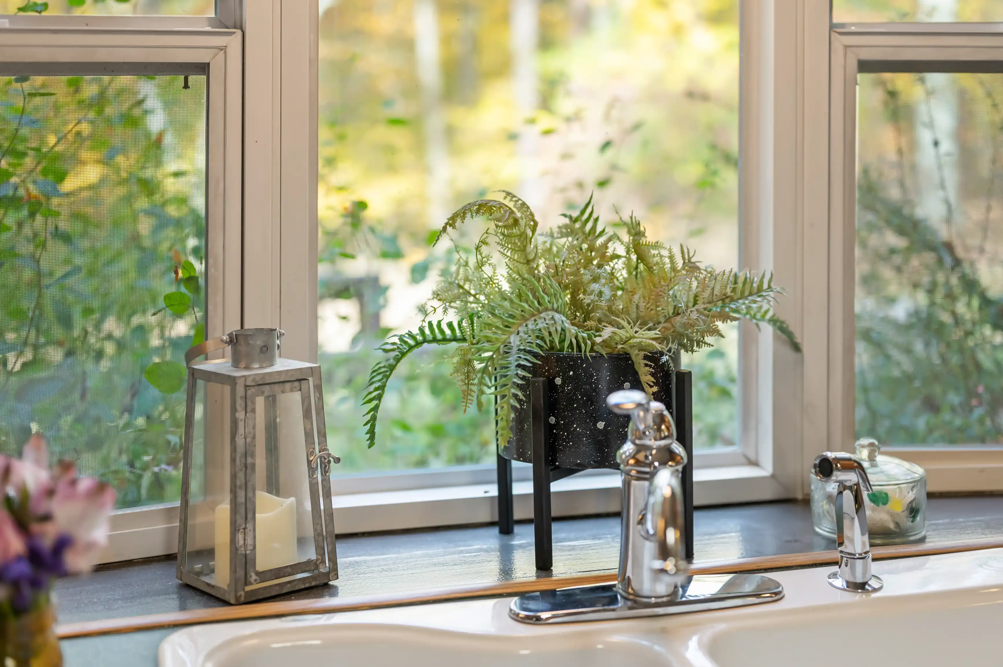 A potted fern on a windowsill with a metal lantern to the left, overlooking a blurred garden view.