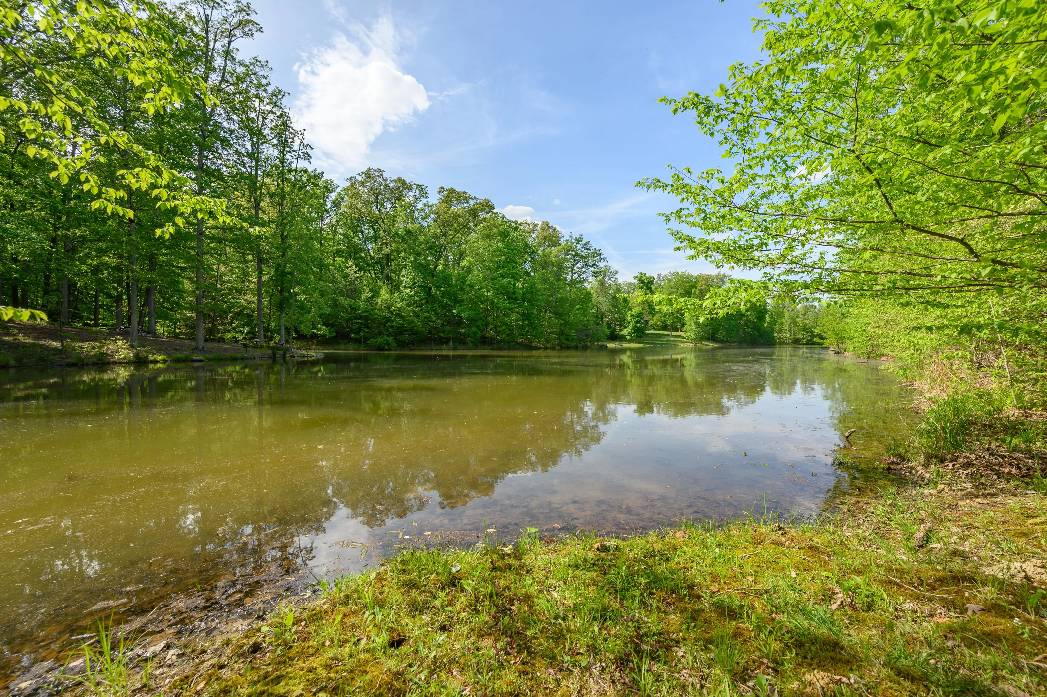 A serene pond surrounded by lush greenery and trees with reflections visible in the calm water, set against a clear blue sky with scattered clouds.
