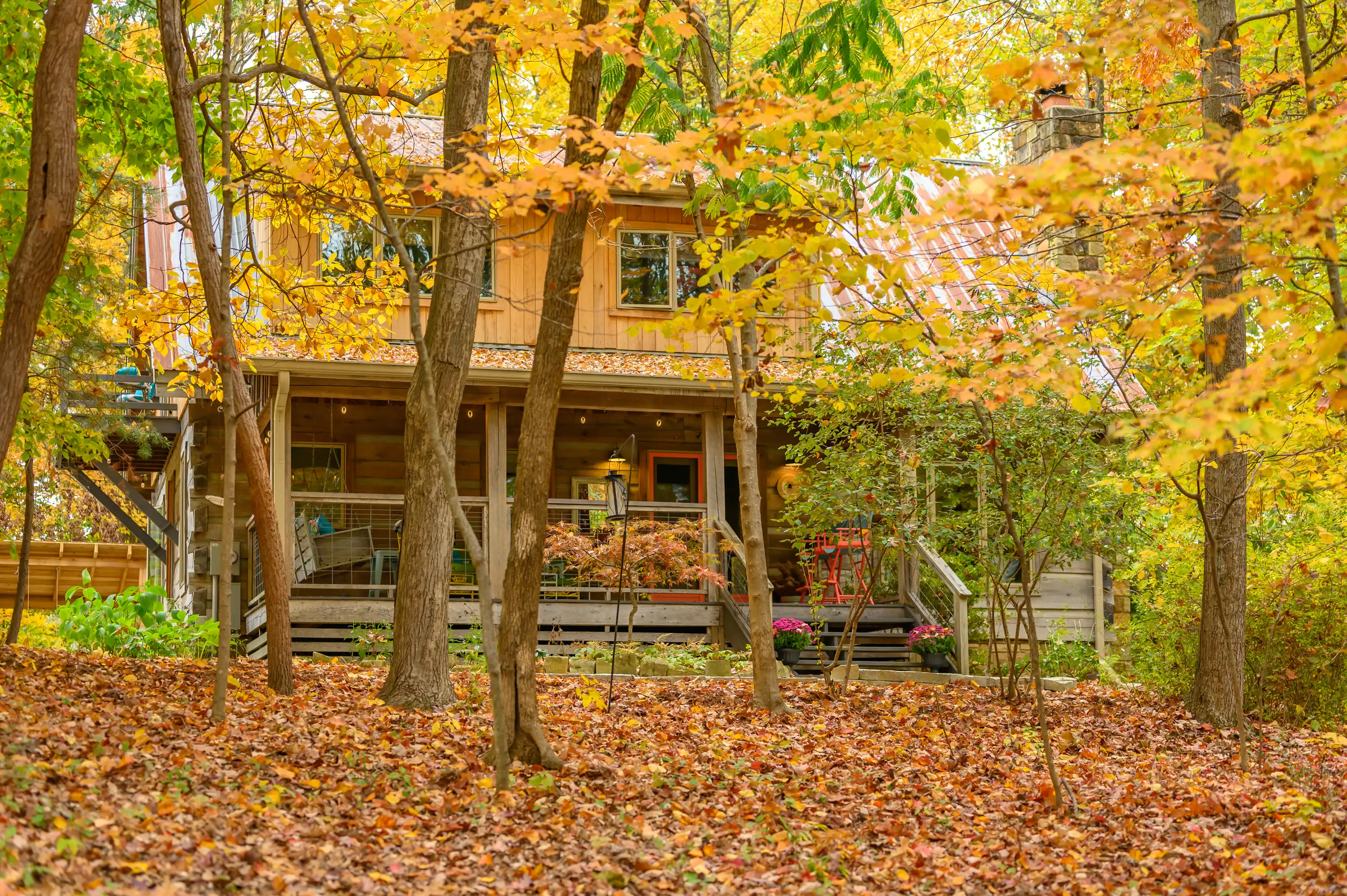 A cozy wooden house with a front porch surrounded by trees with autumn-colored leaves and a ground covered in fallen leaves.