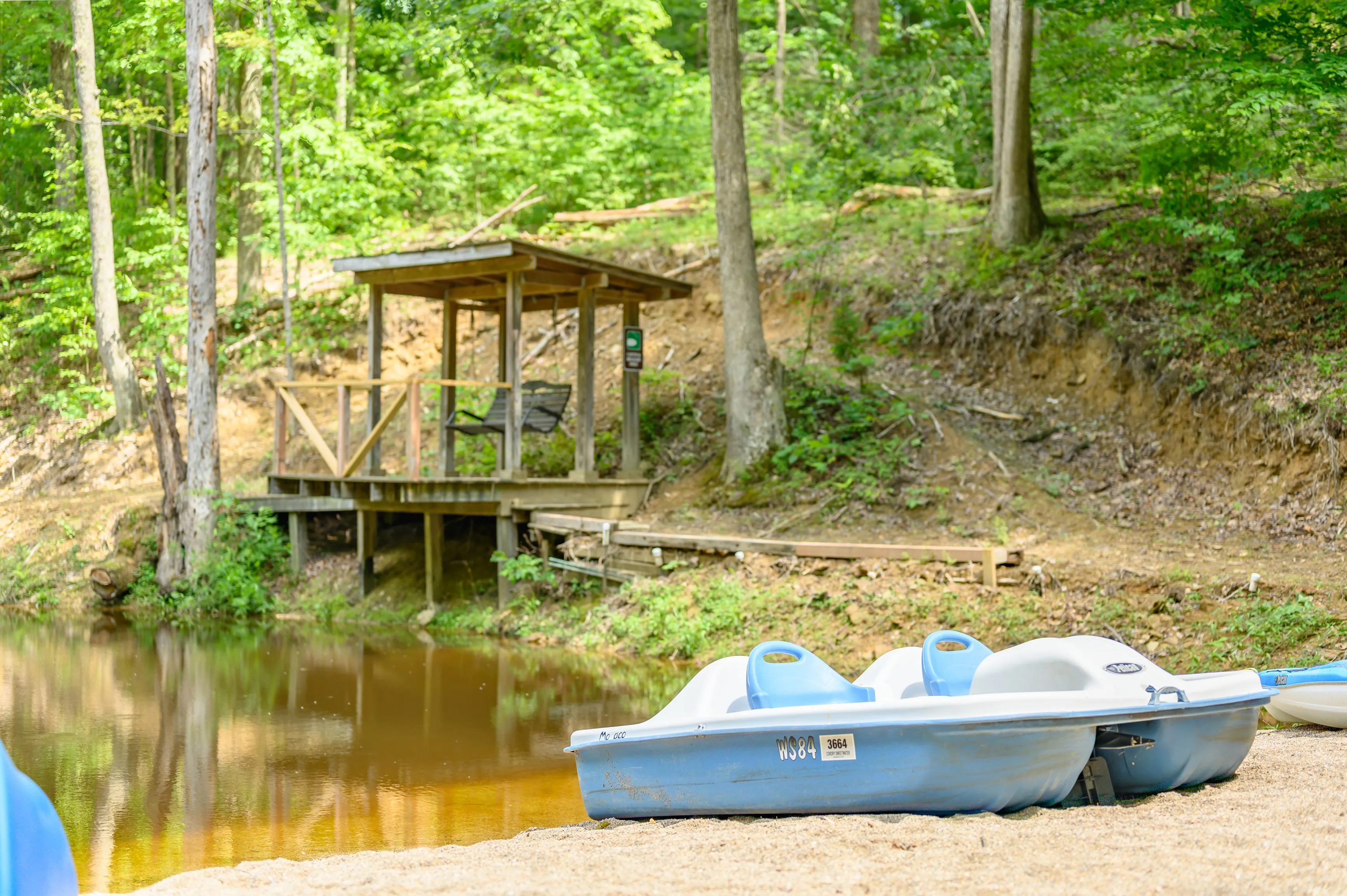 Paddle boats on the shore of a serene pond with a wooden gazebo in a forested area.