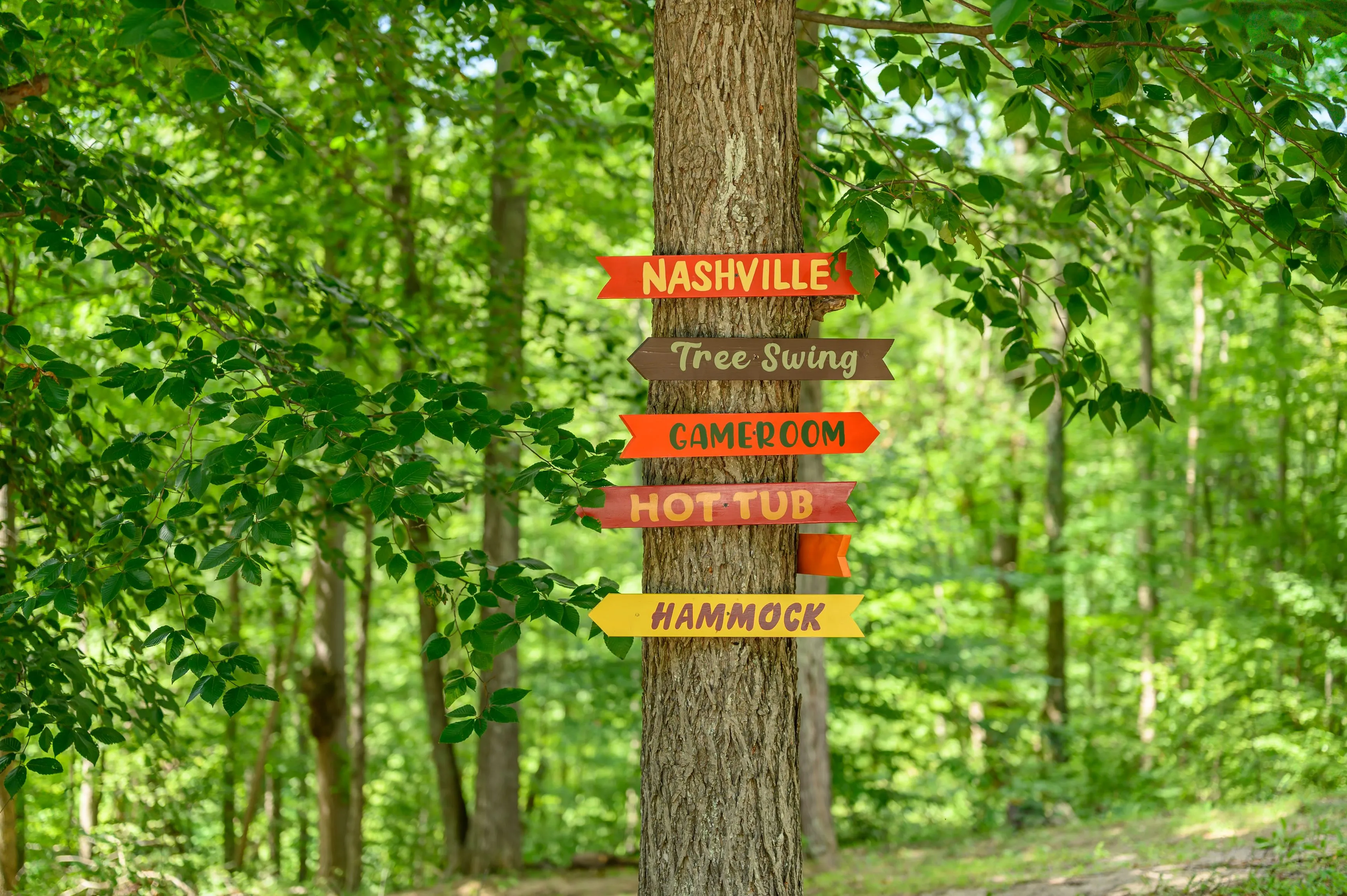 Colorful direction signs nailed to a tree in a lush green forest, indicating locations like Nashville, tree swing, gameroom, hot tub, and hammock.