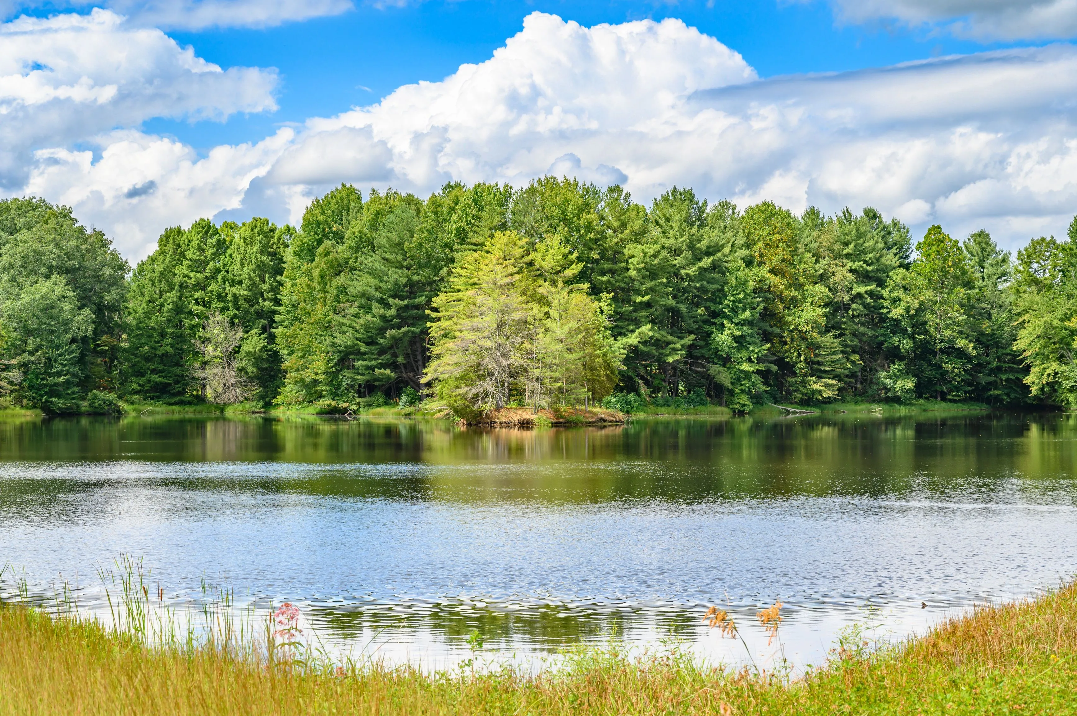 Scenic view of a peaceful lake surrounded by lush green trees under a blue sky with white clouds.