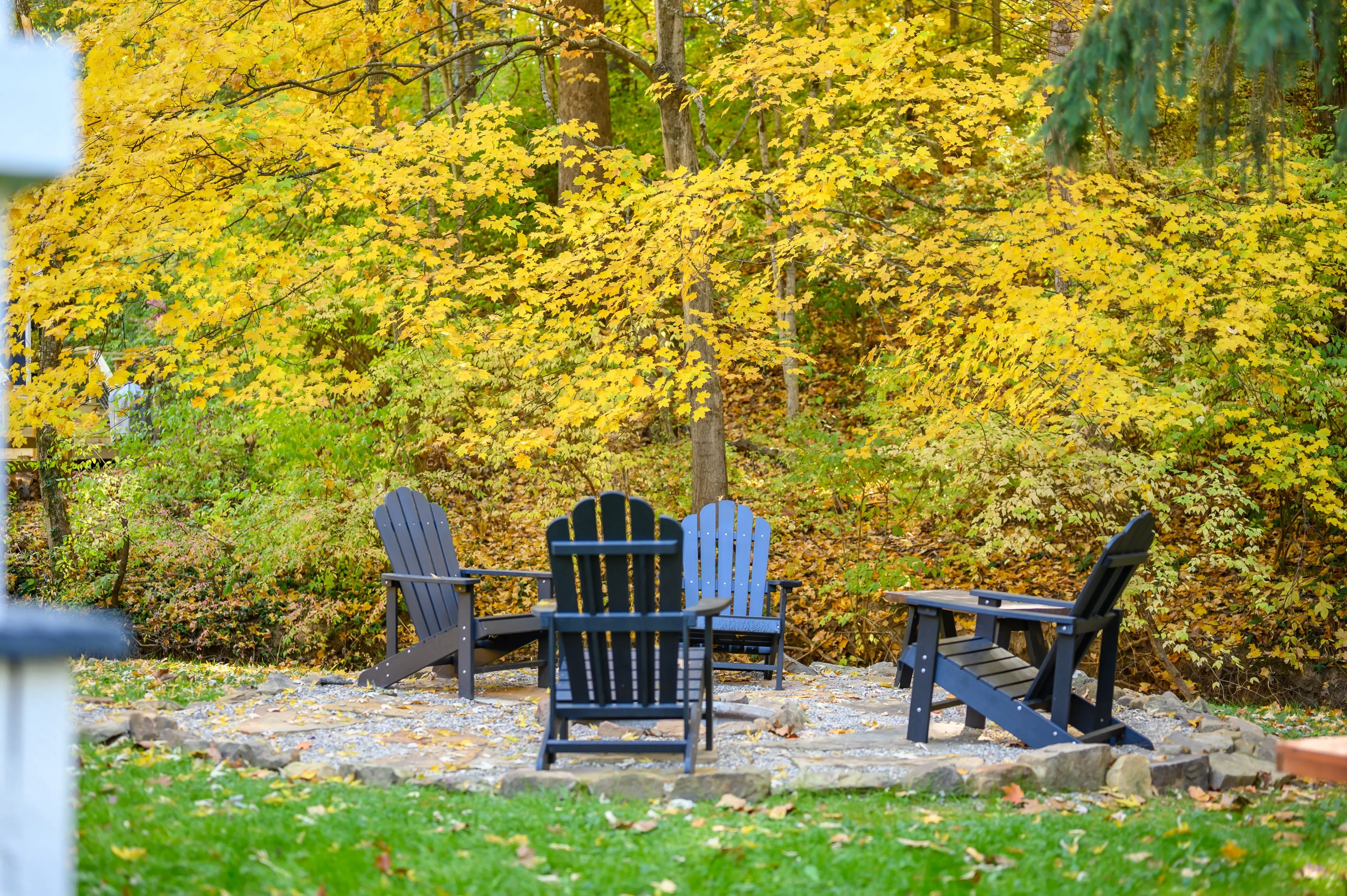 A cozy backyard setting with Adirondack chairs surrounded by trees with autumn leaves.
