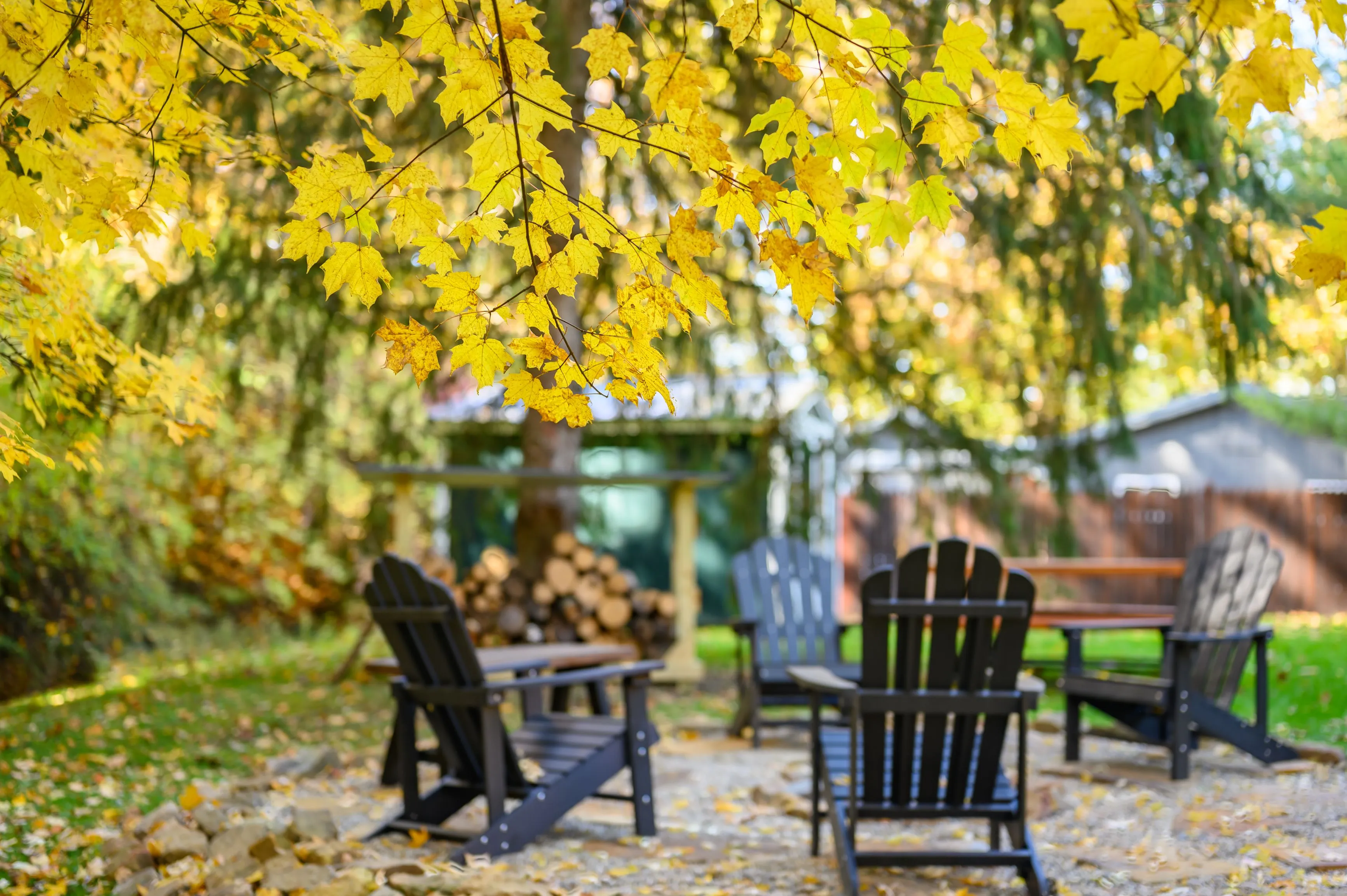 Cozy backyard setting with Adirondack chairs and fallen yellow maple leaves in autumn.