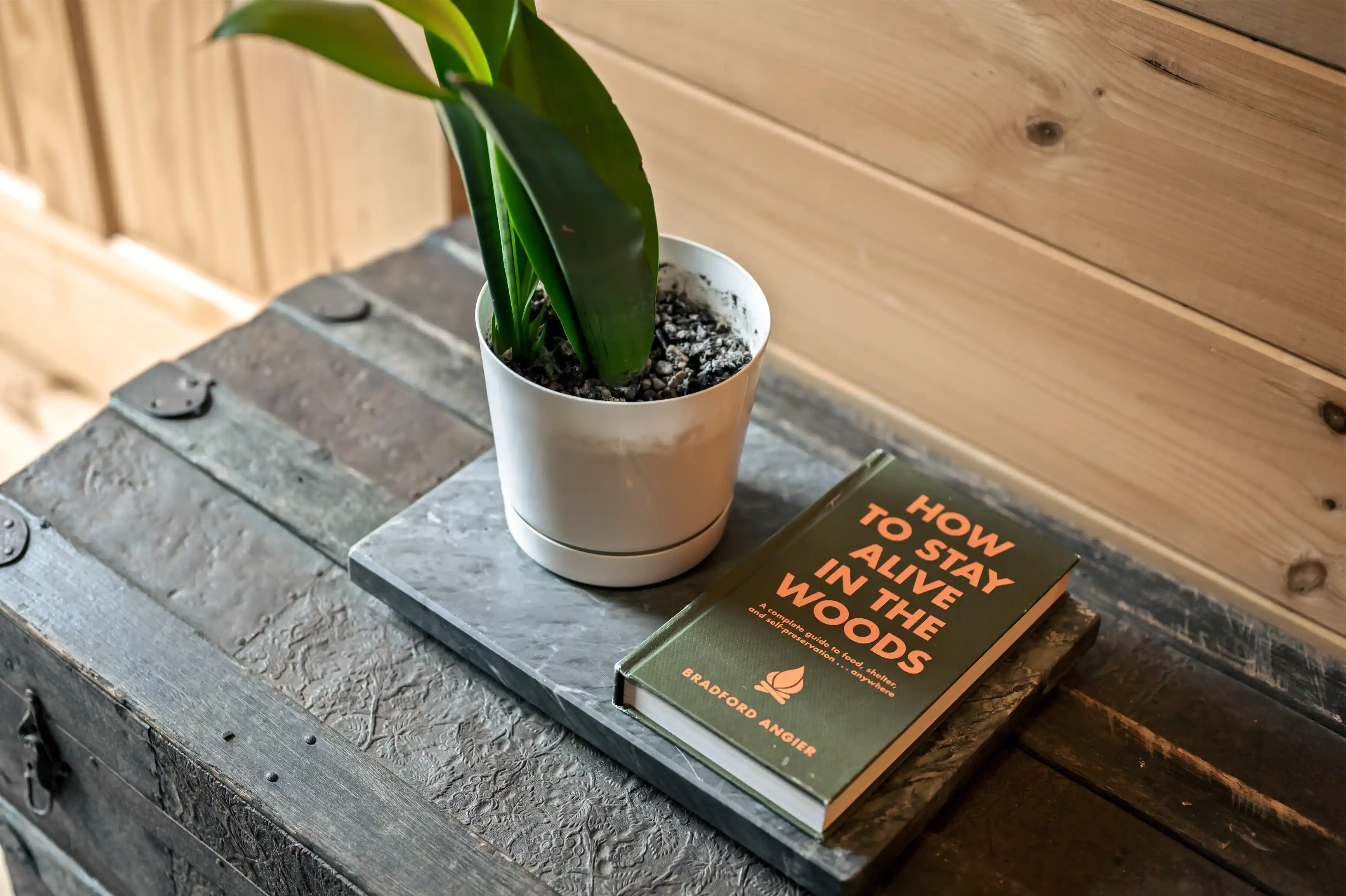 A green houseplant in a white pot sitting on a wooden table next to a book titled "How to Stay Alive in the Woods" by Bradford Angier.