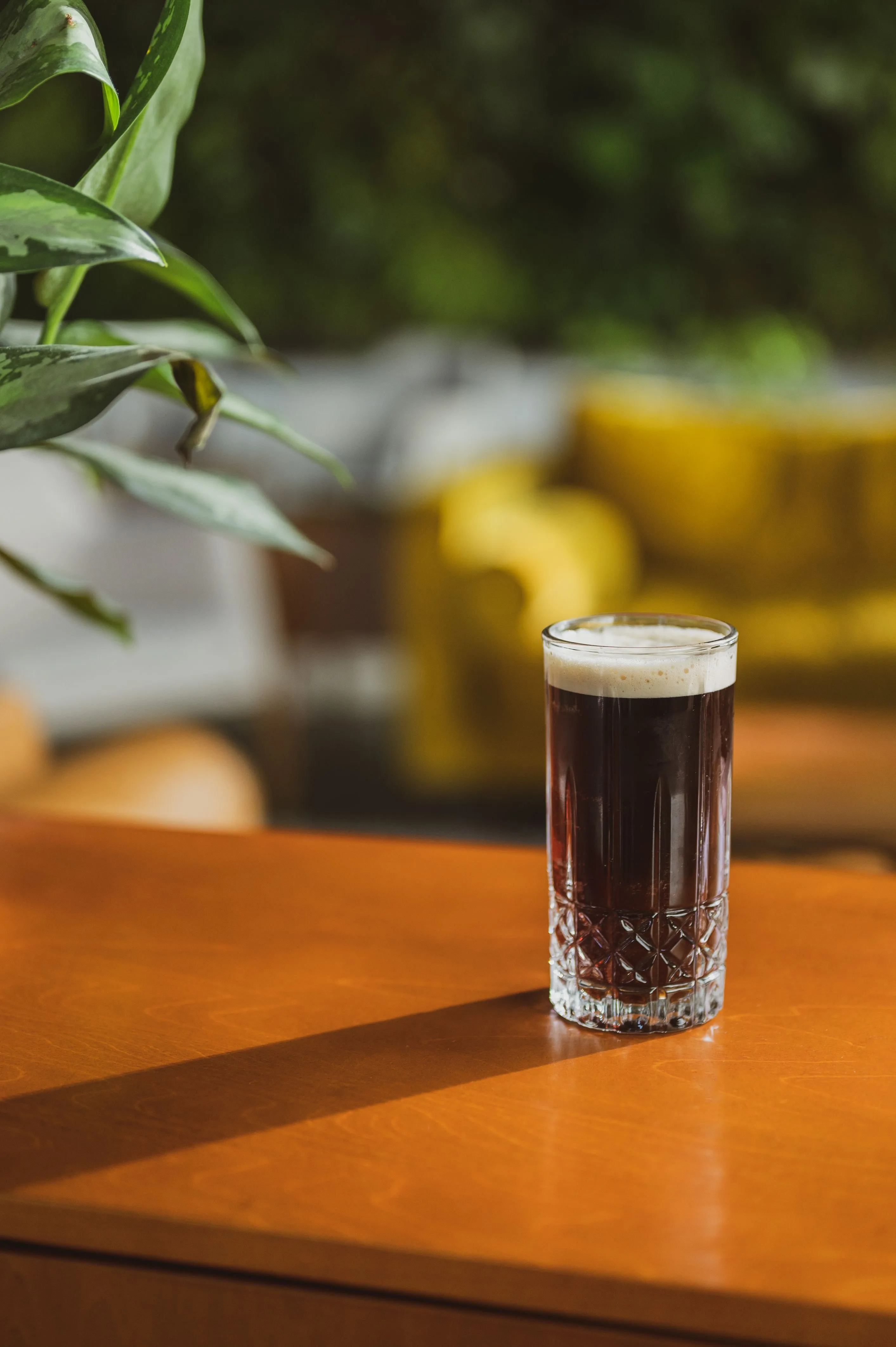 A glass of dark beer with a frothy head on a wooden surface, with a blurred background featuring green leaves and citrus fruits.