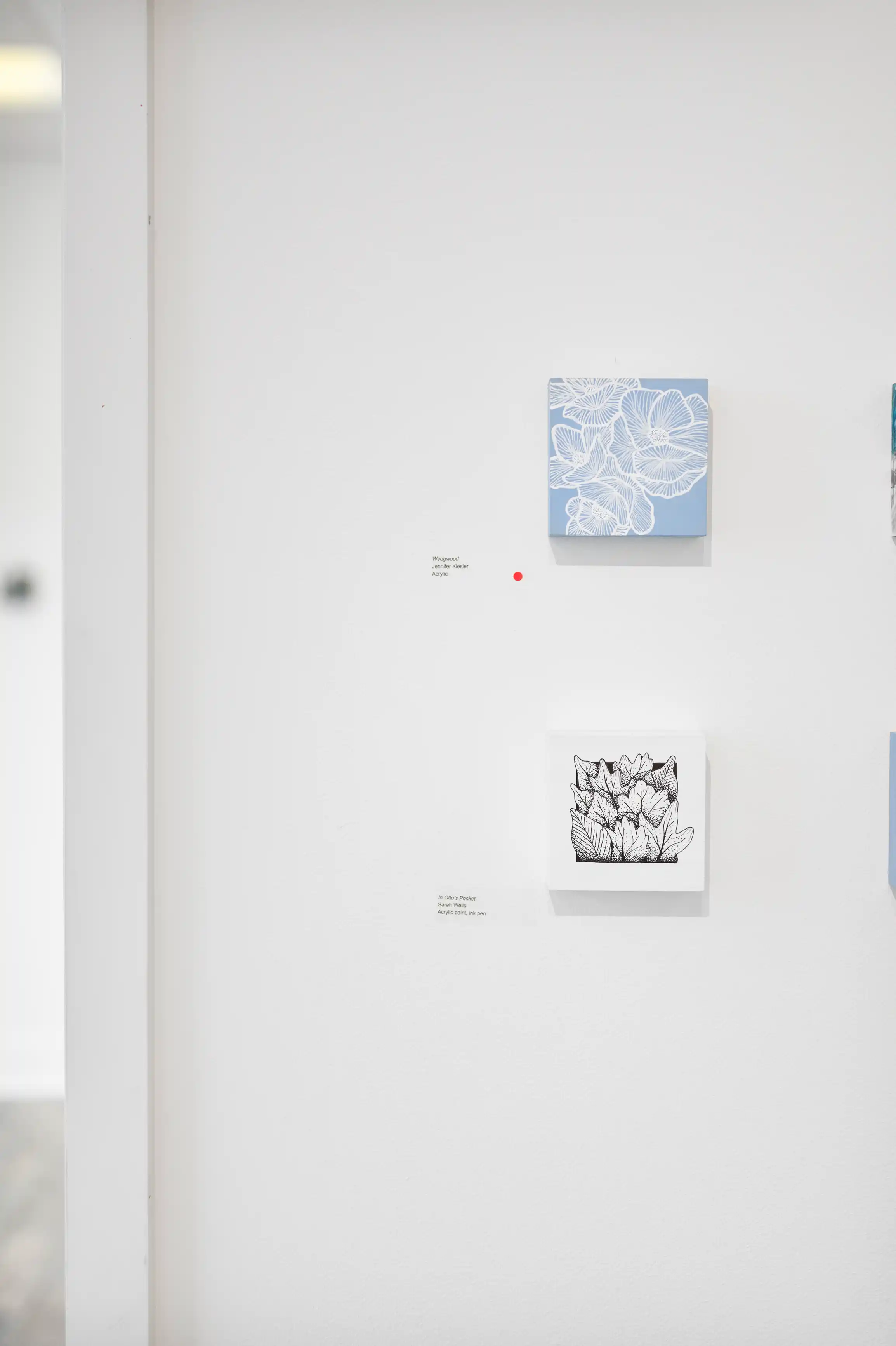 Two monochrome botanical illustrations hung on a white gallery wall with descriptive text labels and red dots indicating sold artwork.