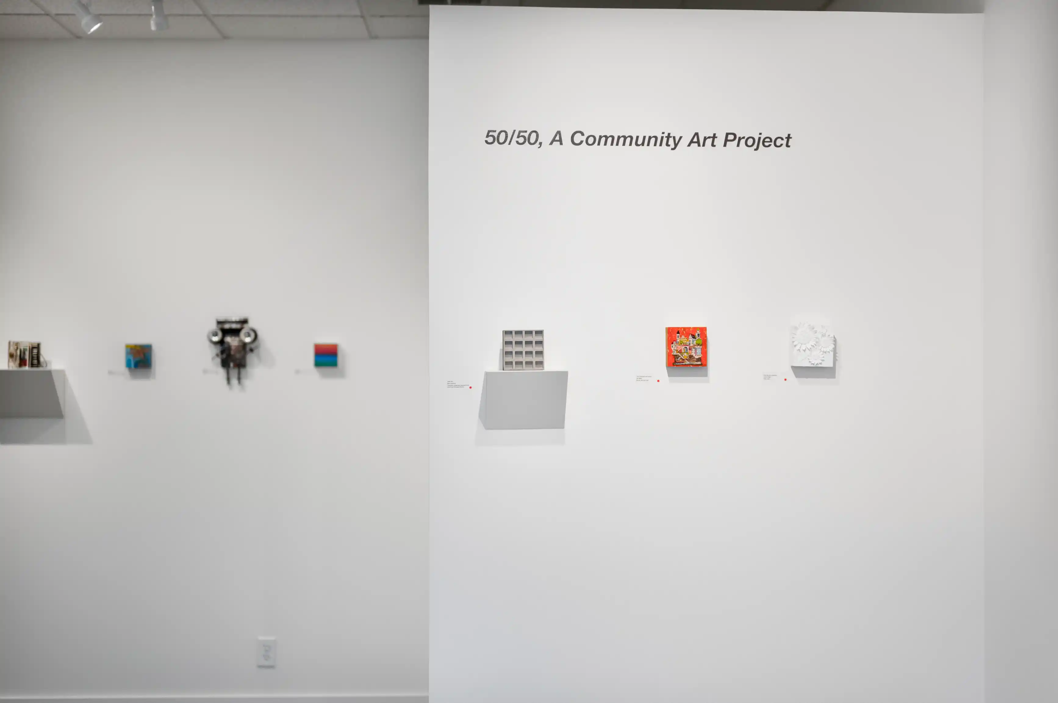 Art gallery interior showing a wall with various artworks and a title "50/50, A Community Art Project".