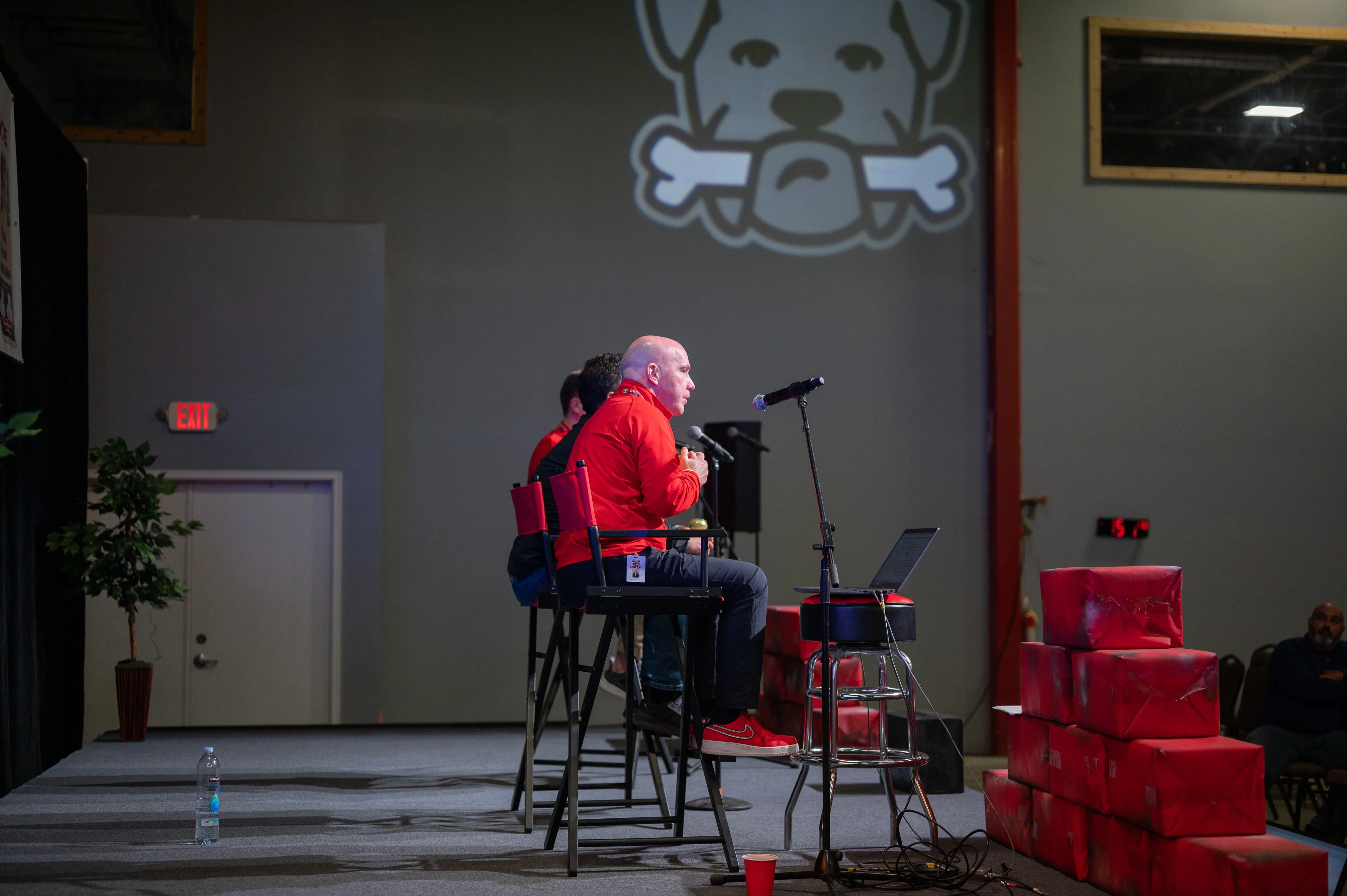 Person performing music on stage with a dog illustration in the background.
