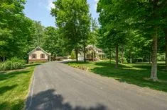 Tree-lined driveway leading to a suburban home with lush greenery on a sunny day.