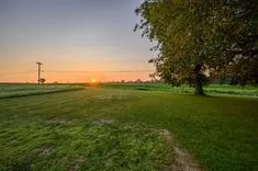 A peaceful sunrise over a flat landscape with a large tree in the foreground, green fields and a telephone pole in the background.