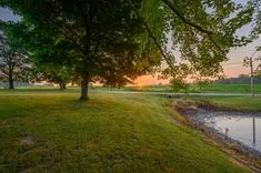 Sunset viewed through trees over a peaceful rural landscape with a pond and grassy field.