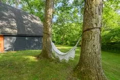 White hammock tied between two trees in a lush green backyard with a dark-roofed house in the background.