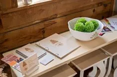 Wooden shelf displaying brochures, notebooks with custom prints, business cards, and a bowl with green decorative plants.