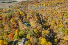 Aerial view of a forest with a mix of green, yellow, and red foliage during autumn with a few buildings nestled among the trees.