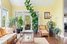A bright and cozy sunroom with yellow walls, large windows, and a variety of green indoor plants, with comfortable wicker and leather seating and hardwood flooring.