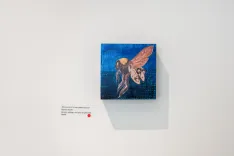 Painting of an owl in flight against a blue background on display in a gallery setting.