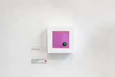 Modern art exhibit featuring a white square canvas with a central magenta square and a small, dark green circle on a white gallery wall with accompanying informational text plaque.