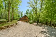 A serene woodland setting with a gravel driveway leading to a cozy log cabin surrounded by lush green trees under a clear blue sky.