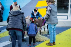 A group of people, including a young child wearing a holiday-themed hat, interacting with a brown donkey on a straw-covered street, with abstract blue and yellow mural in the background.