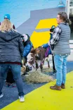 People interacting with a donkey on a straw-covered street with a mural in the background.