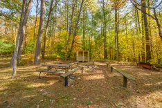 Picnic area with wooden tables and a grill in a sunlit forest with autumn foliage.