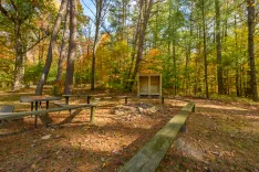 A tranquil picnic area in a forest with a table, barbecue grill, and wooden shelter surrounded by trees with autumn foliage.
