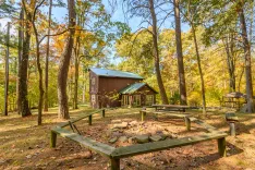Alt text: A serene woodland area featuring a rustic cabin with a front porch, surrounded by tall trees with autumn leaves, picnic tables, and a stone fire pit under a clear blue sky.