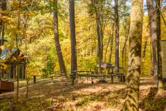 Wooden picnic table and benches in a sunny forest clearing with autumn leaves.