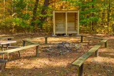 Wooden shelter and benches at a campsite in a forest during autumn.
