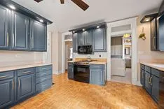Modern kitchen interior with blue cabinets, stainless steel appliances, and hardwood floors.