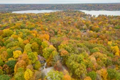 Aerial view of a dense forest in autumn with a colorful palette of fall foliage surrounding a secluded house, near a body of water.